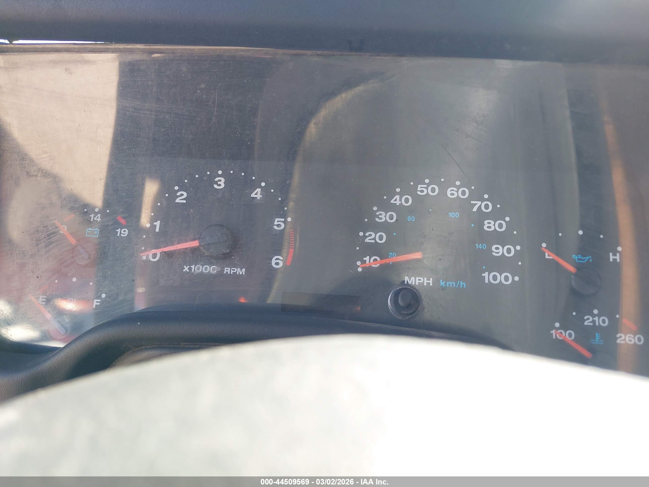 JEEP WRANGLER image 7