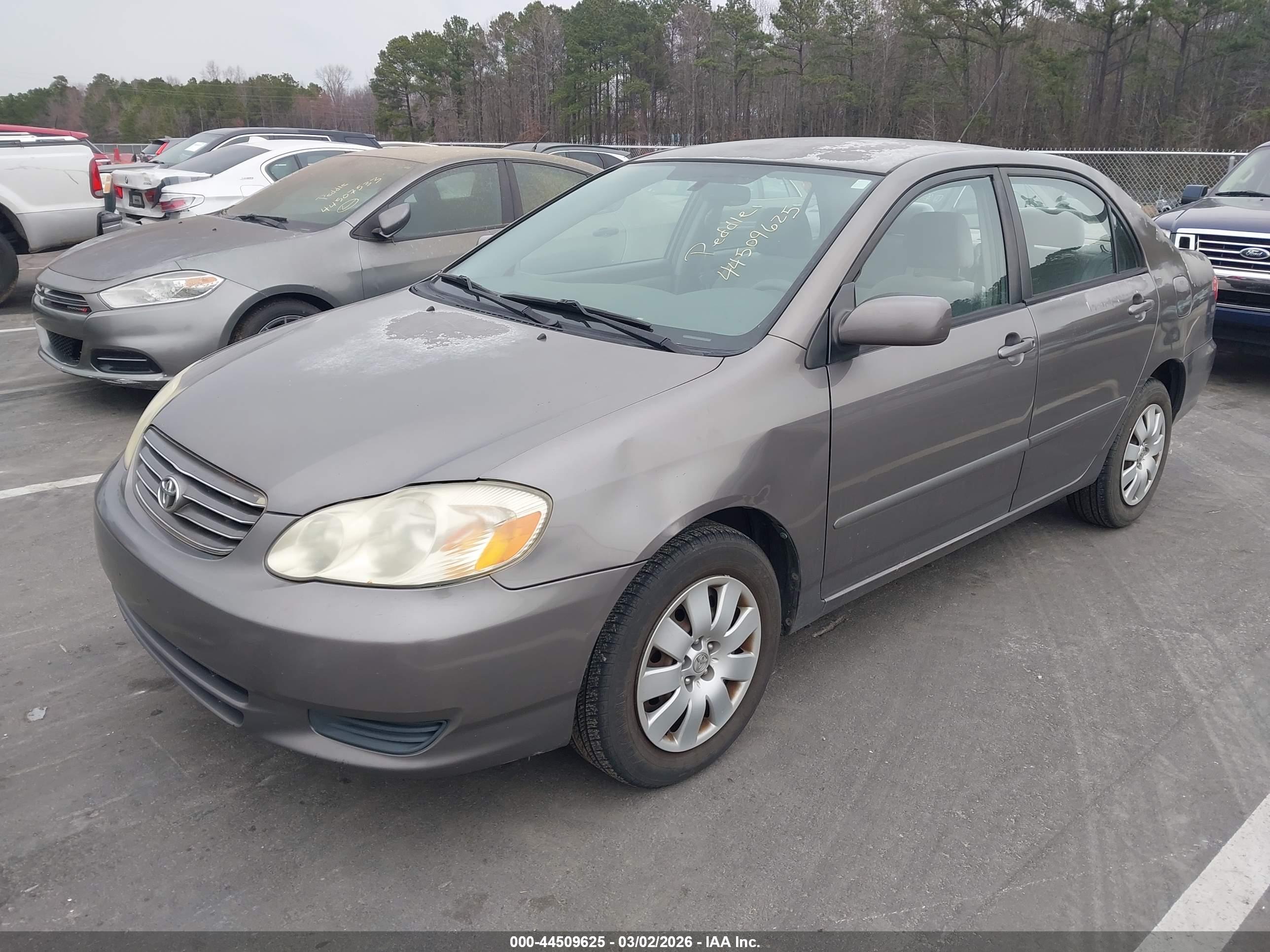 TOYOTA COROLLA image 2