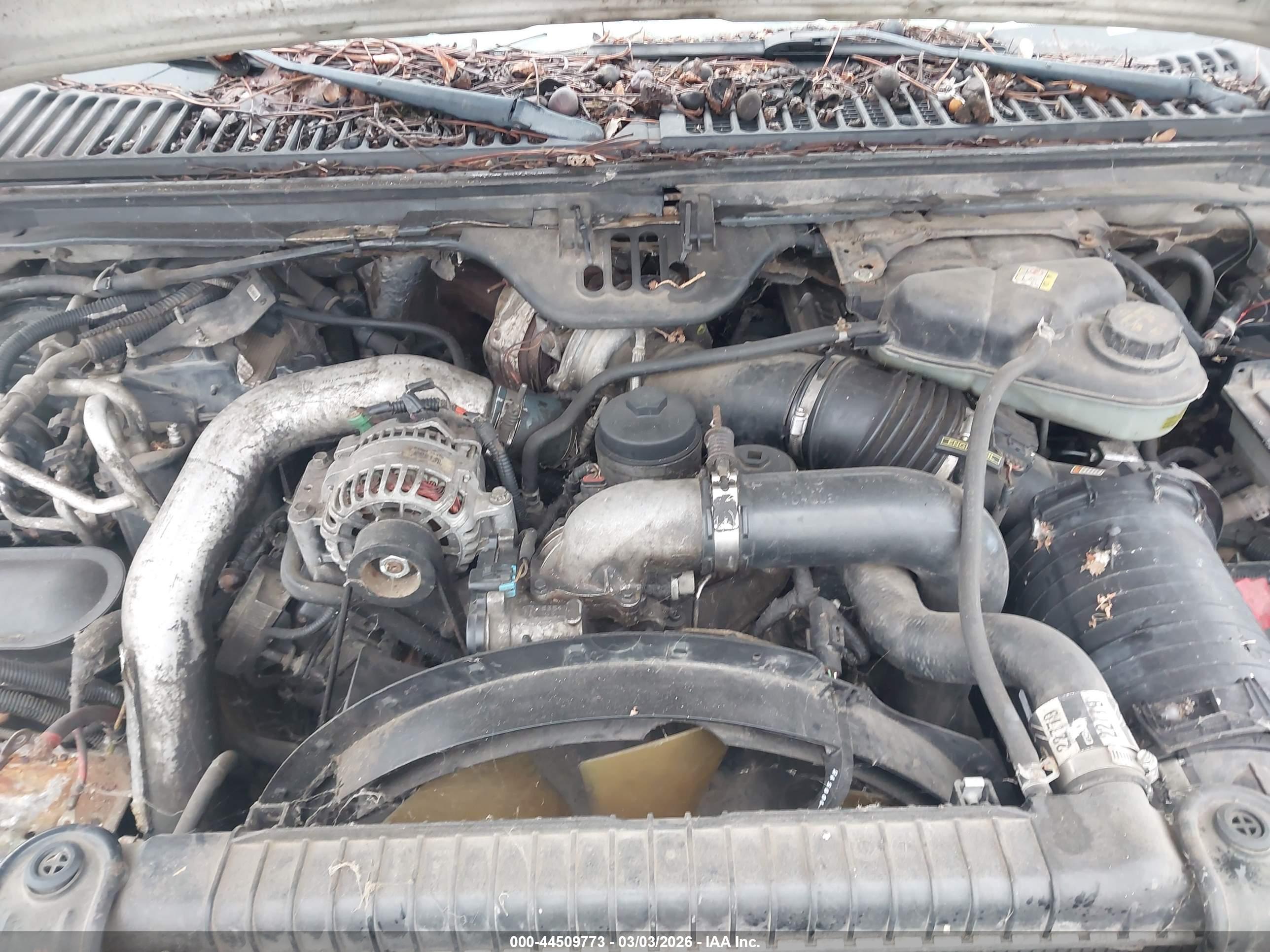 FORD EXCURSION image 10