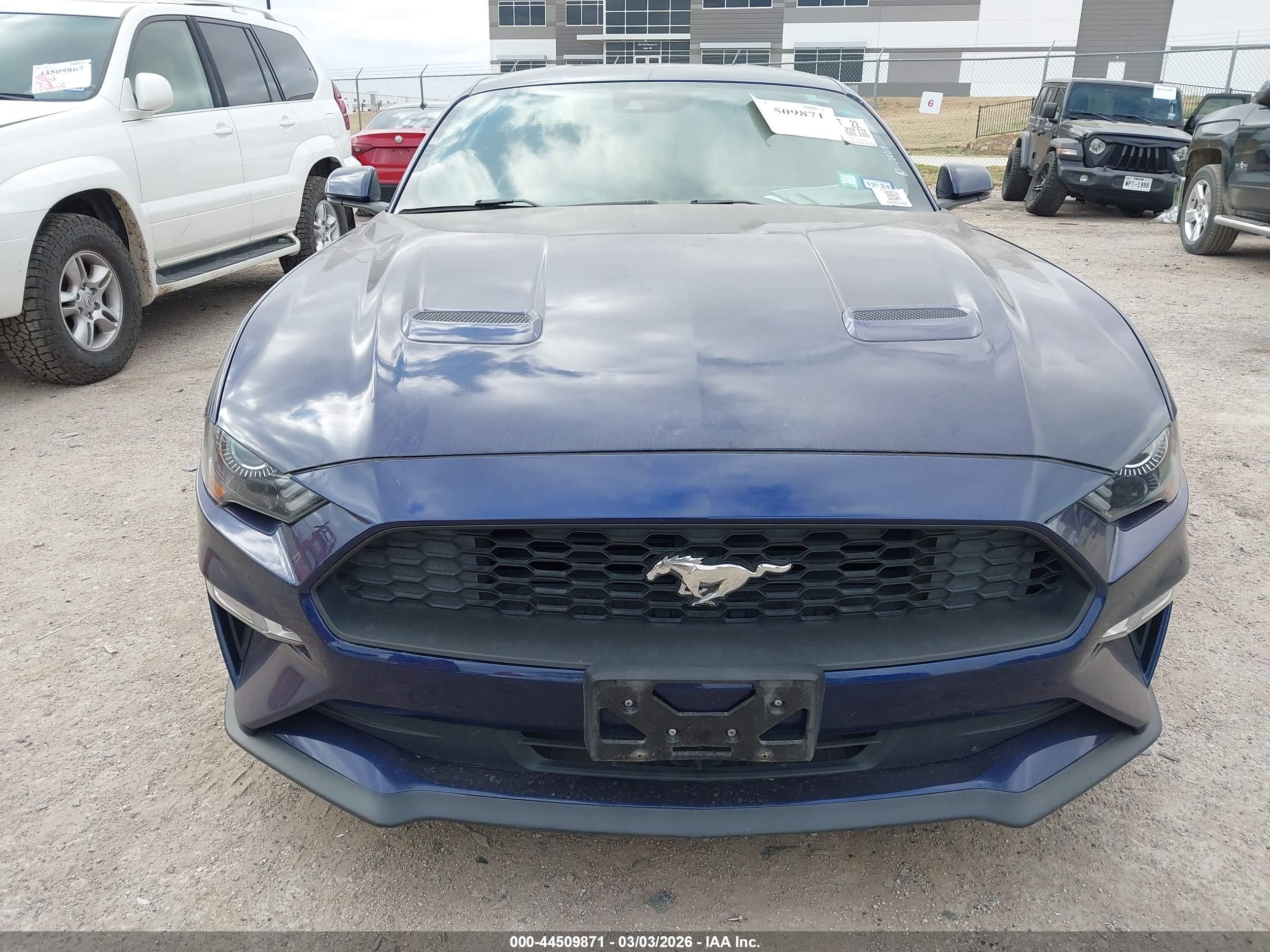 FORD MUSTANG image 6