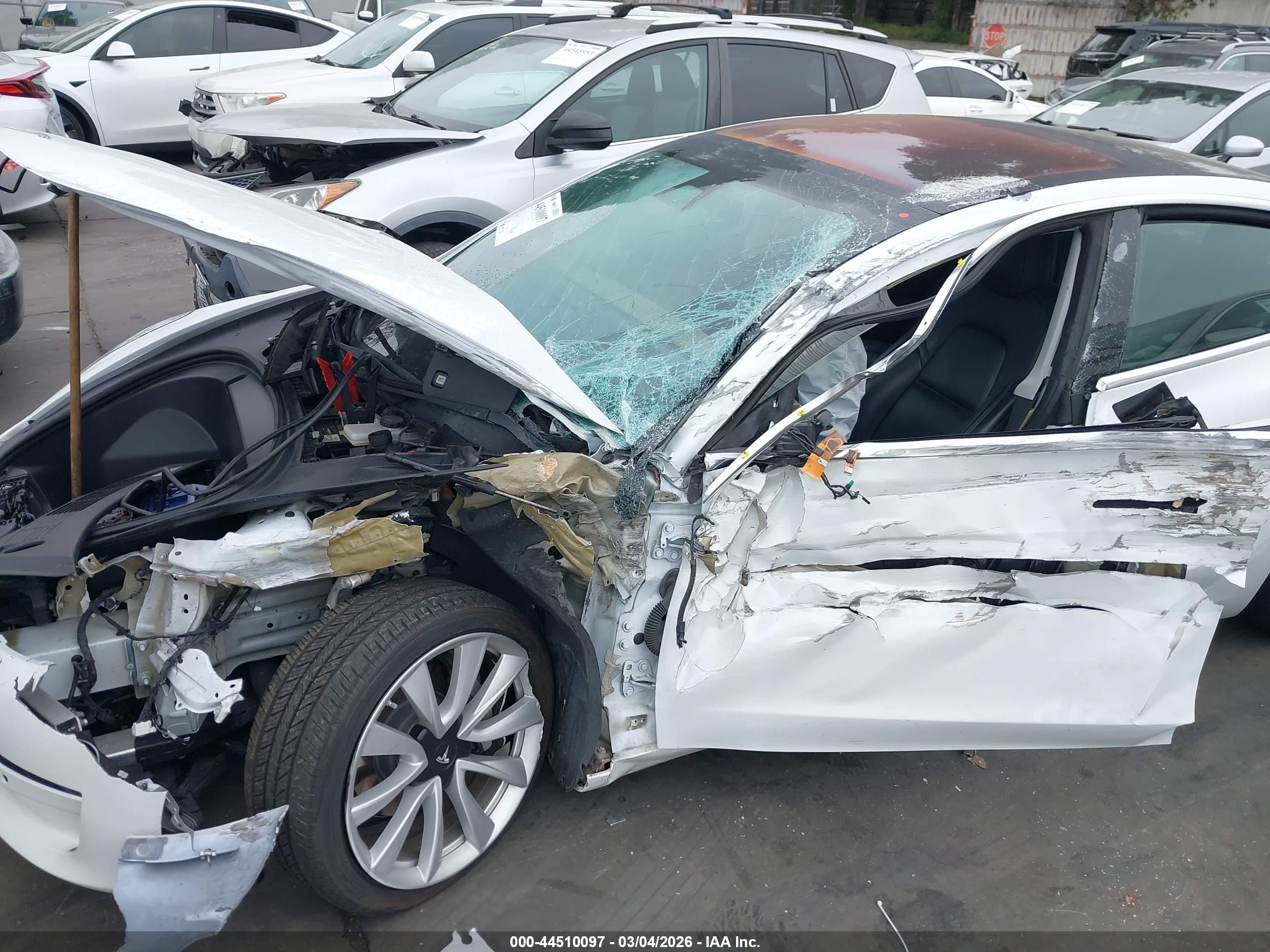 TESLA MODEL image 6