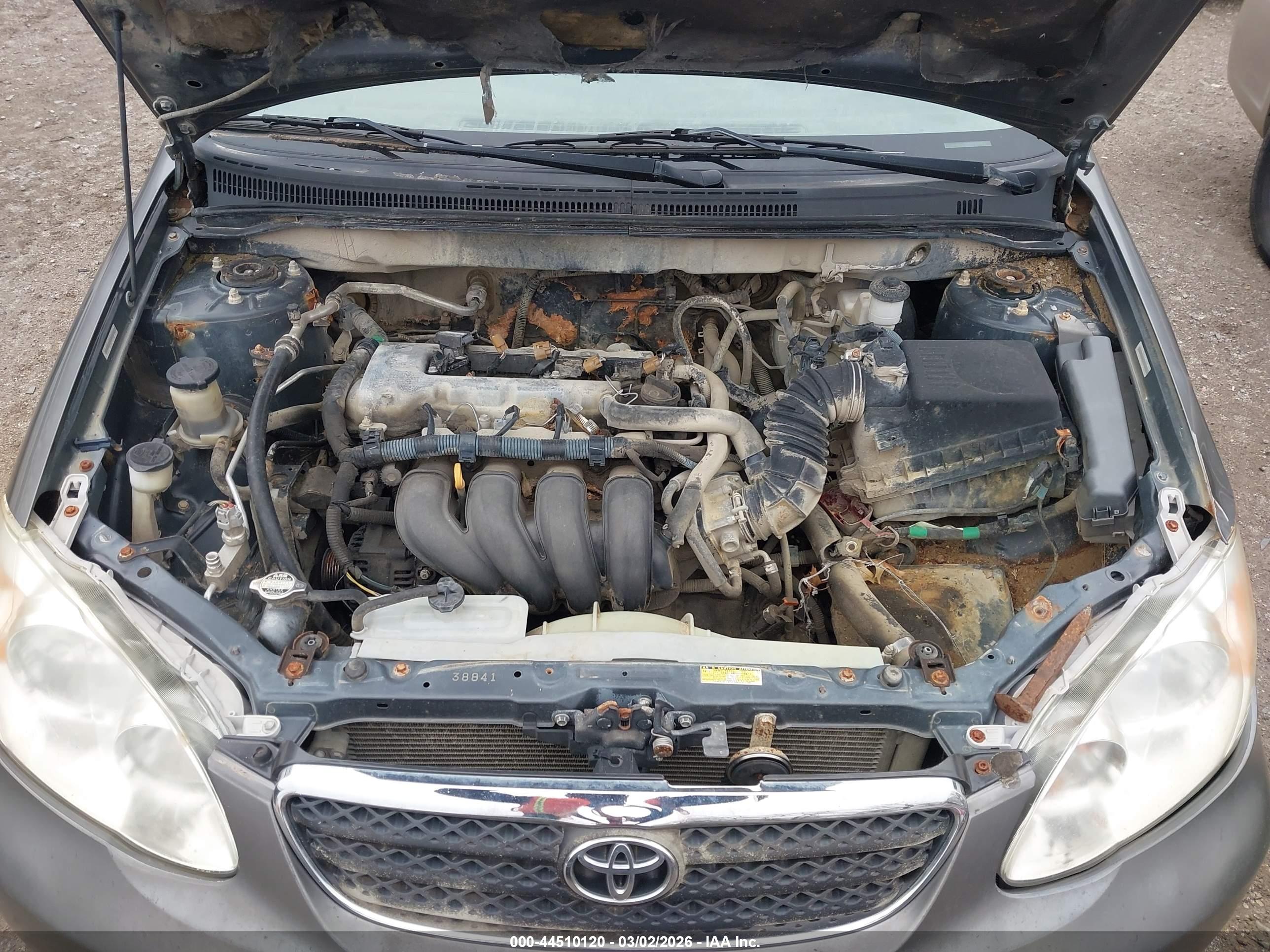 TOYOTA COROLLA image 10