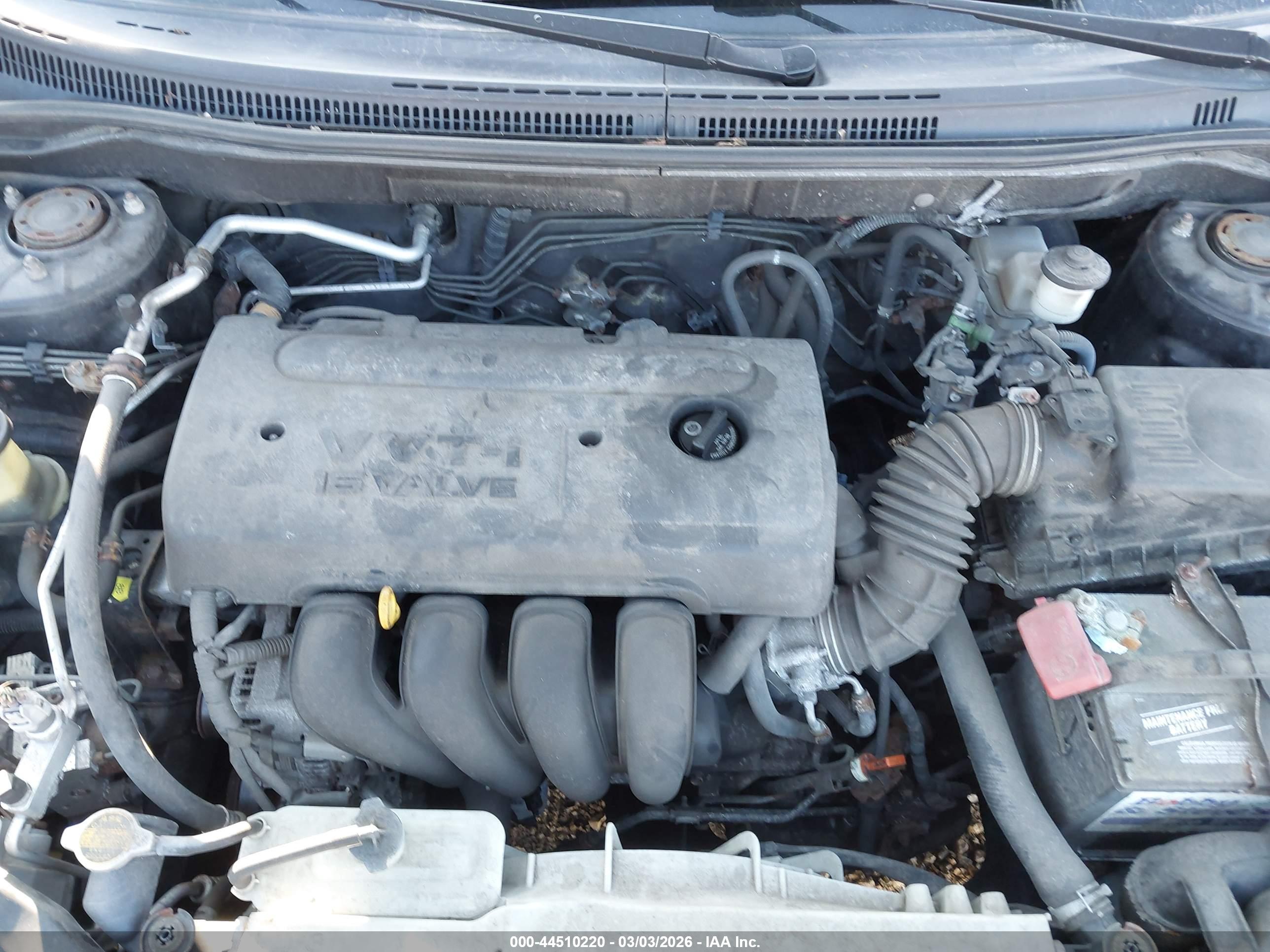 TOYOTA COROLLA image 10