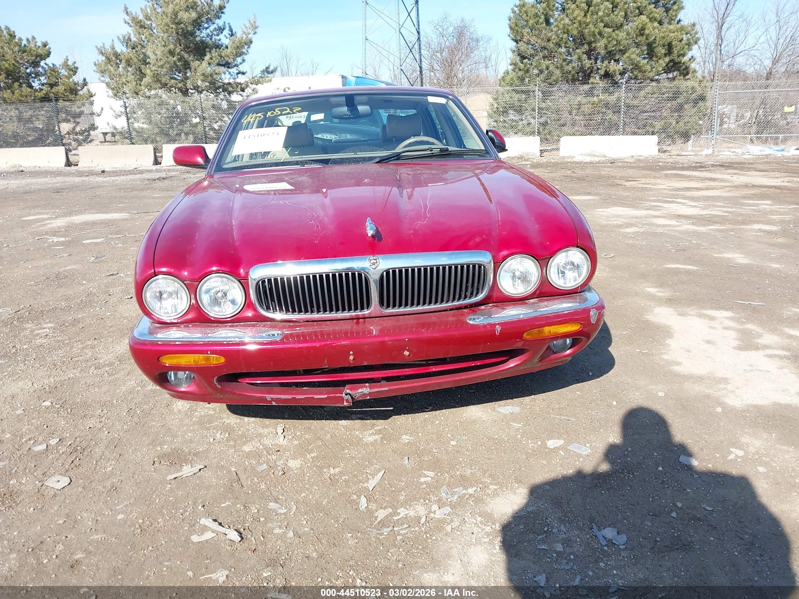 JAGUAR XJ8 image 6