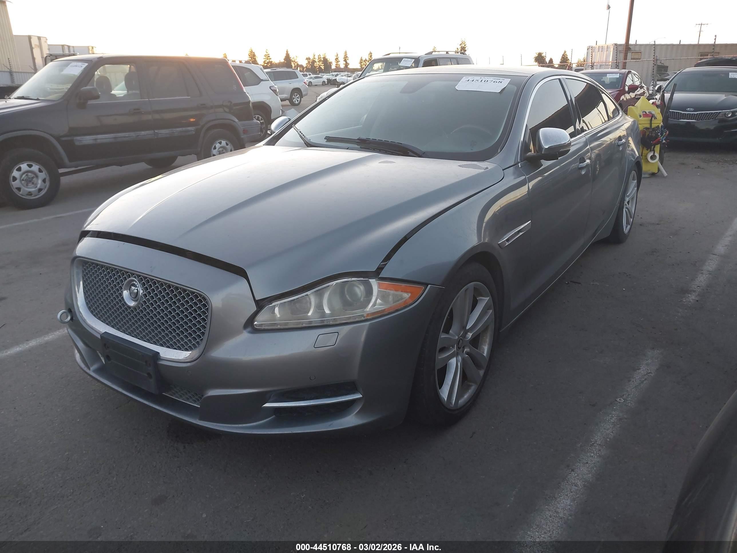 JAGUAR XJ image 2