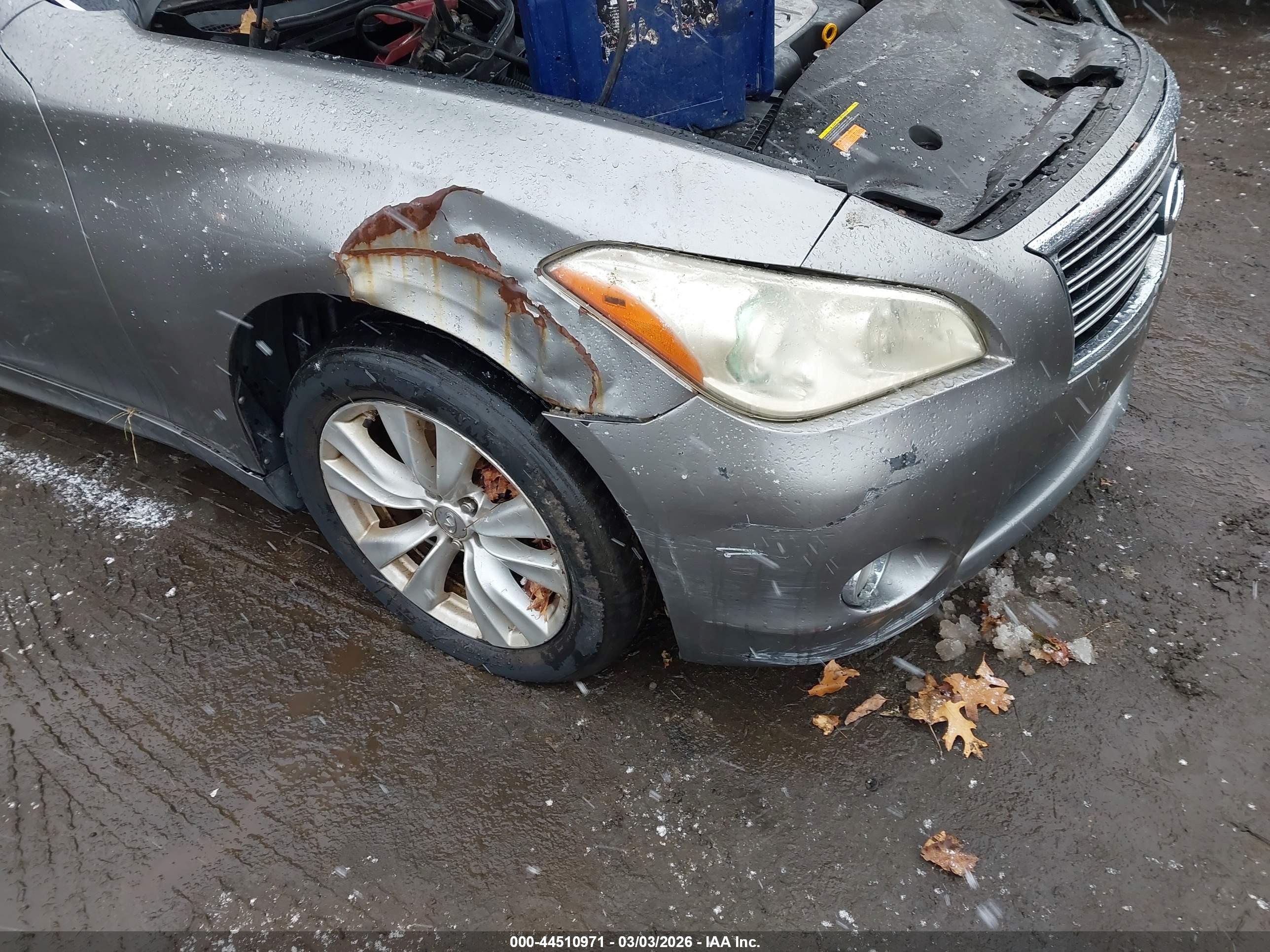 INFINITI M37X image 6