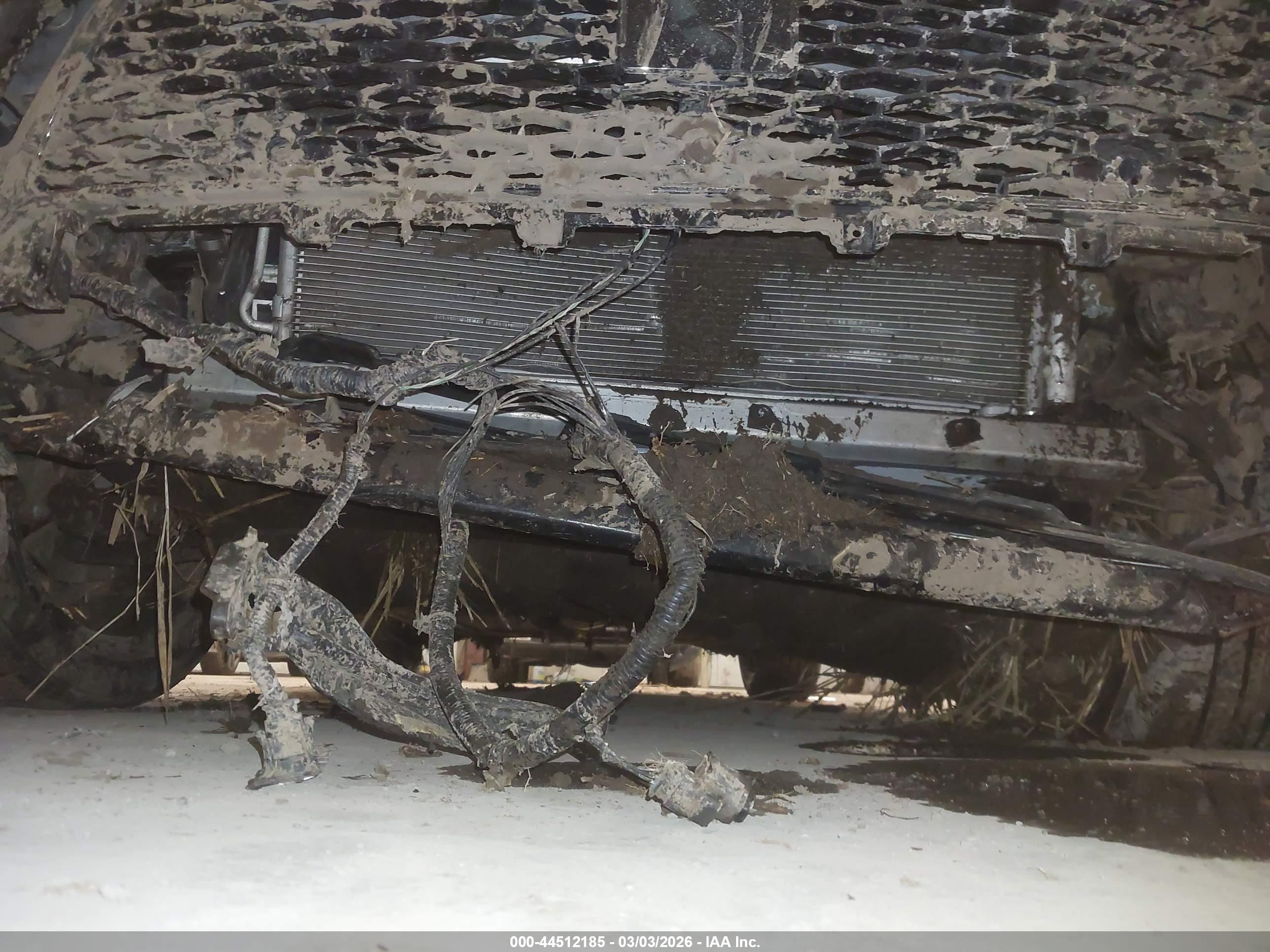 LAND ROVER image 6