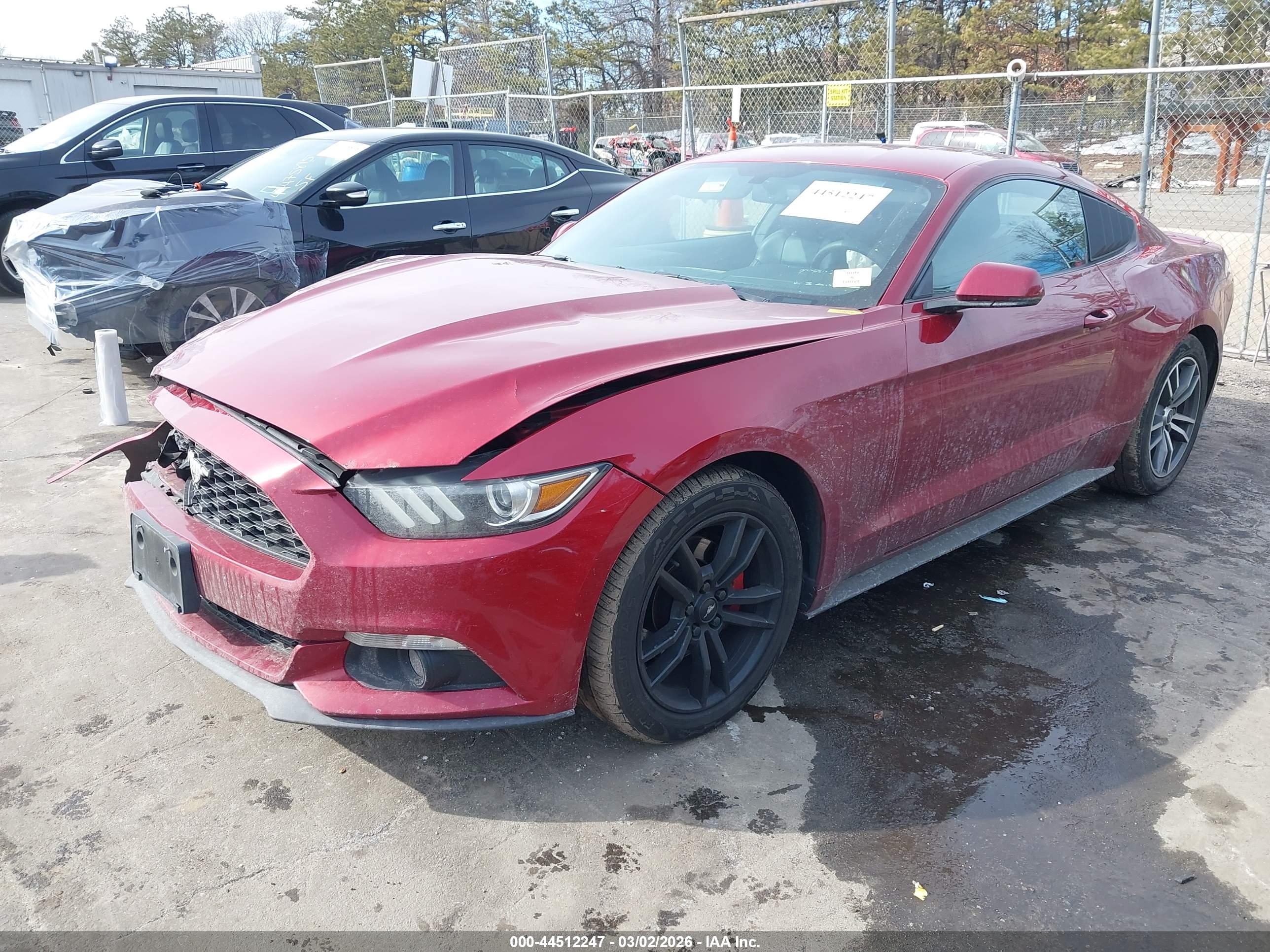 FORD MUSTANG image 2