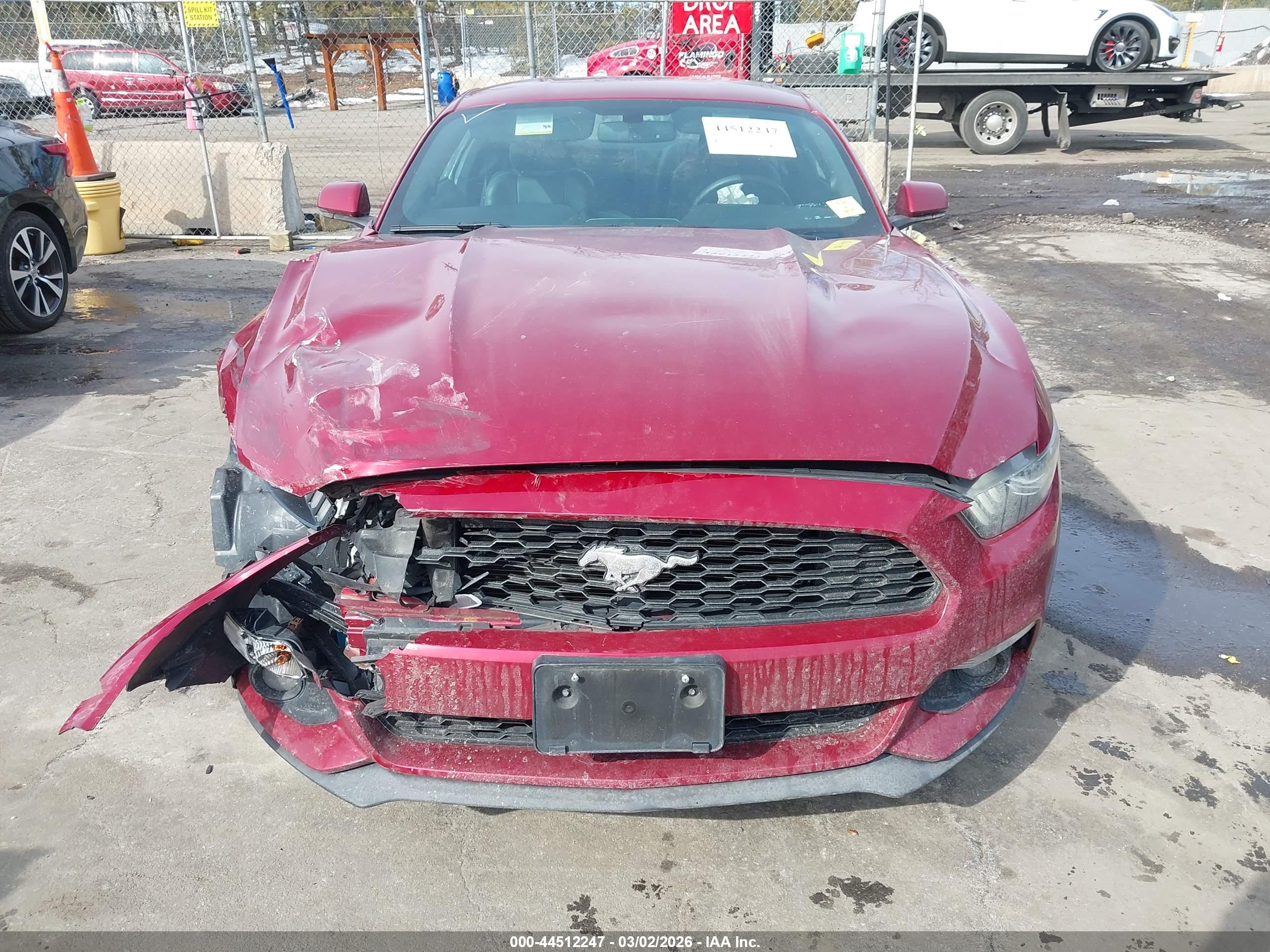 FORD MUSTANG image 6