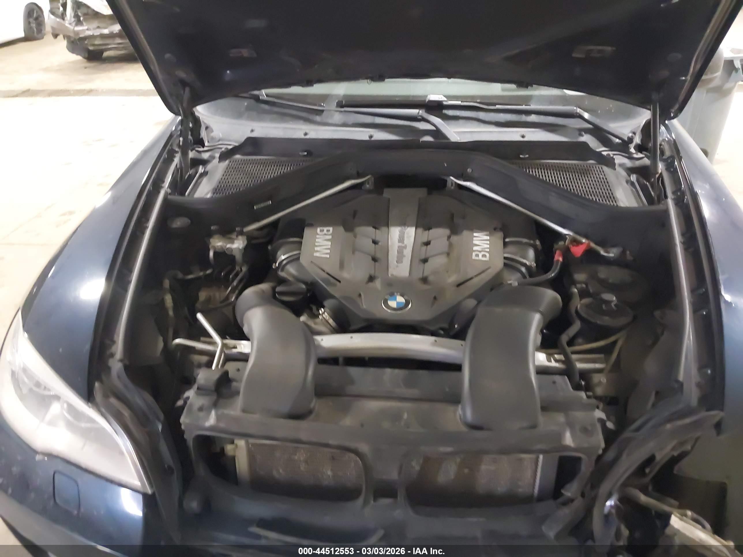 BMW X6 image 10