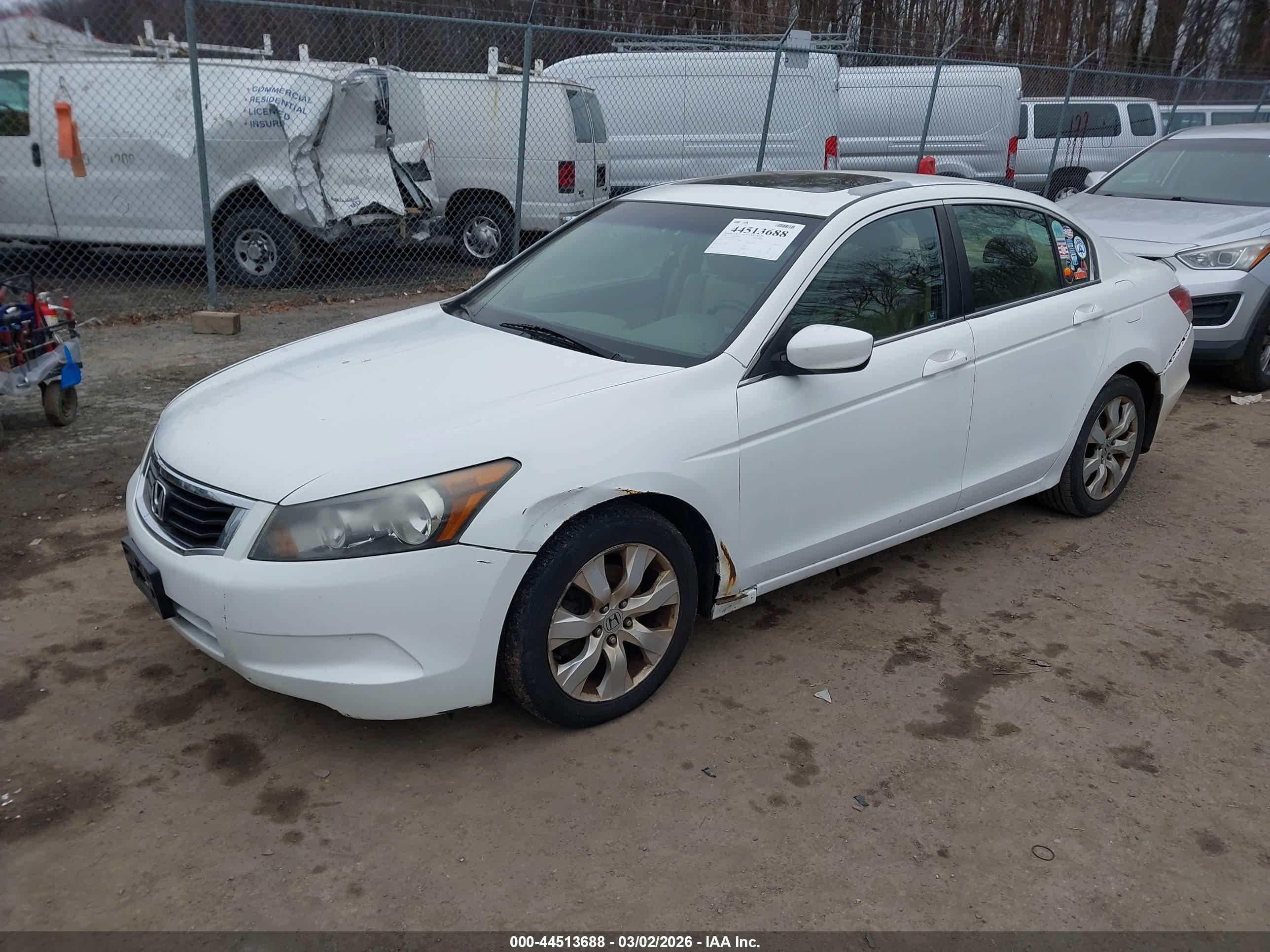 HONDA ACCORD image 2
