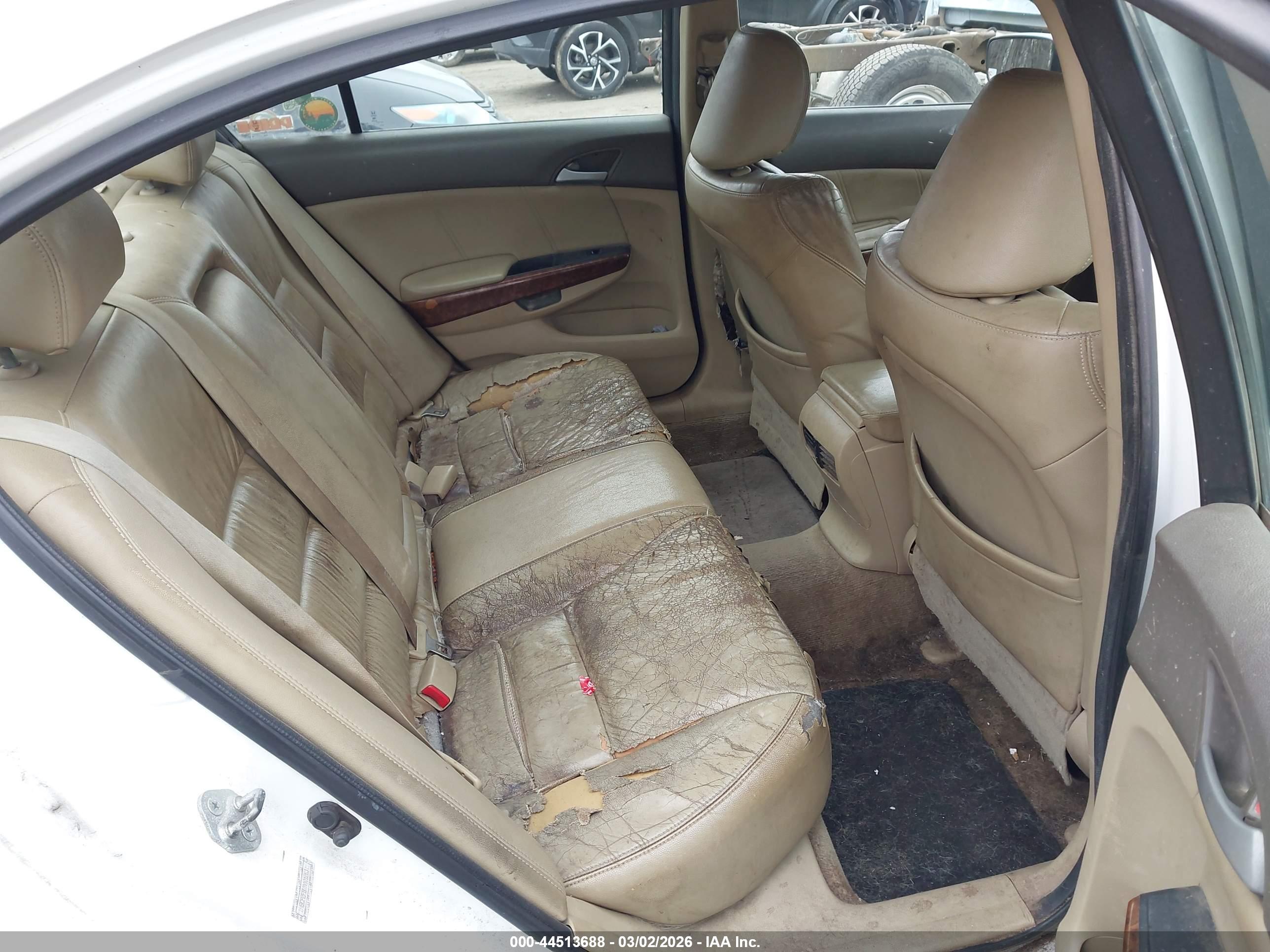 HONDA ACCORD image 8