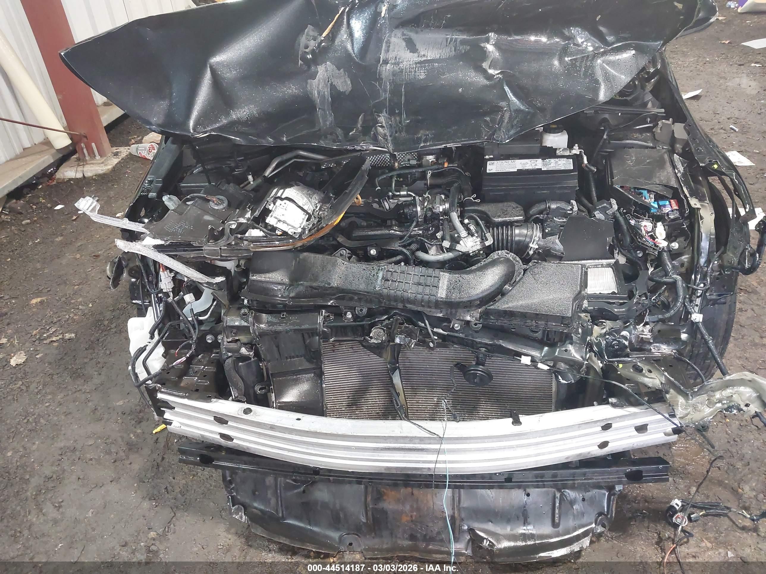 TOYOTA COROLLA image 6