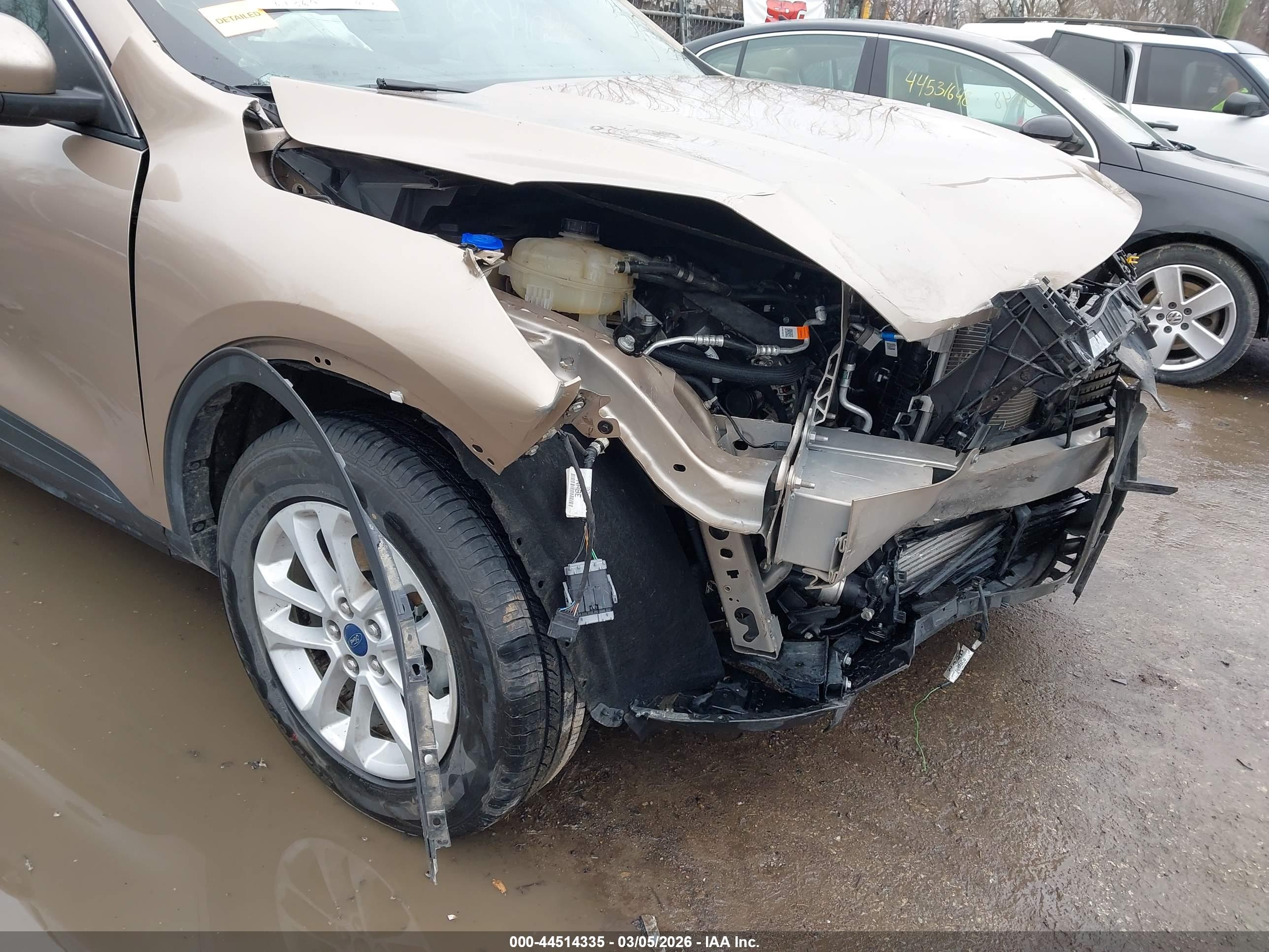 FORD ESCAPE image 6