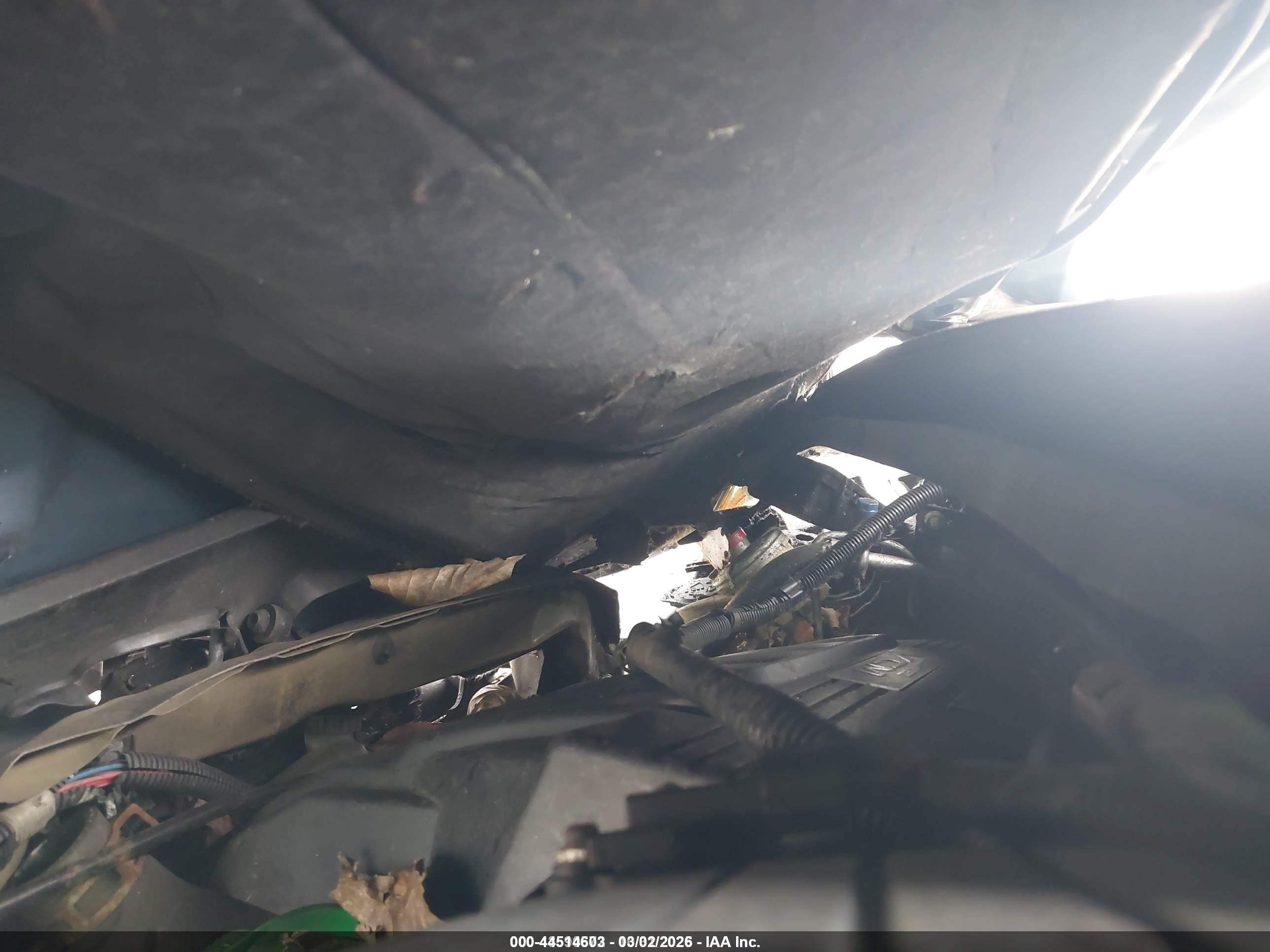 HONDA ODYSSEY image 10