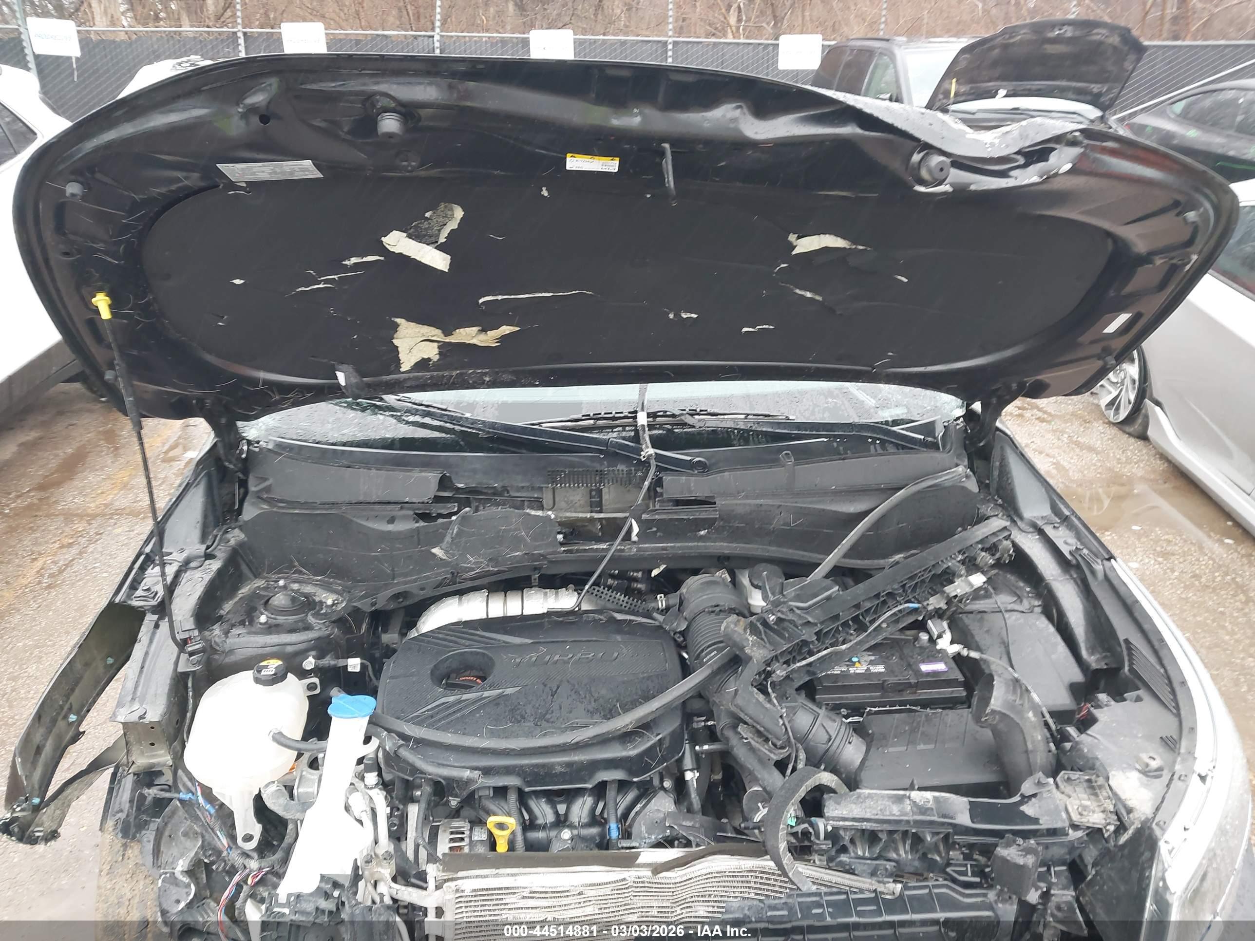 KIA SELTOS image 10
