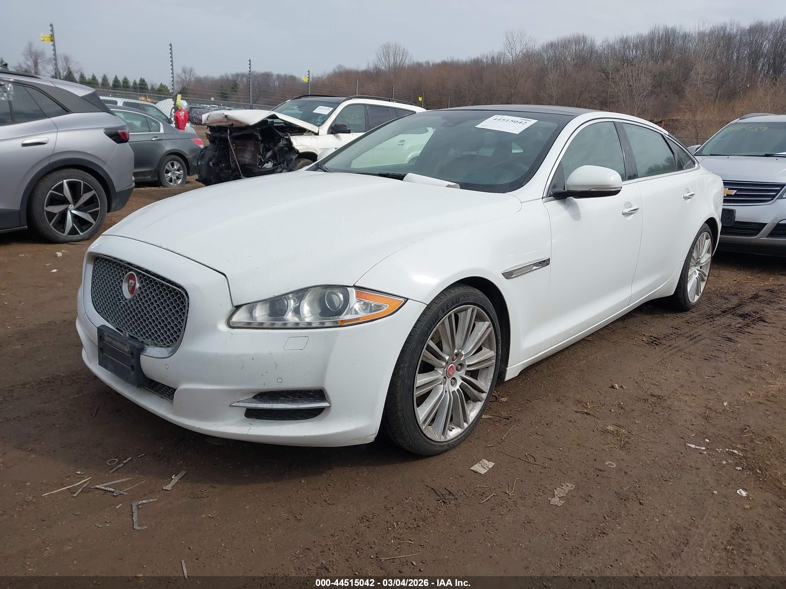 JAGUAR XJ image 2