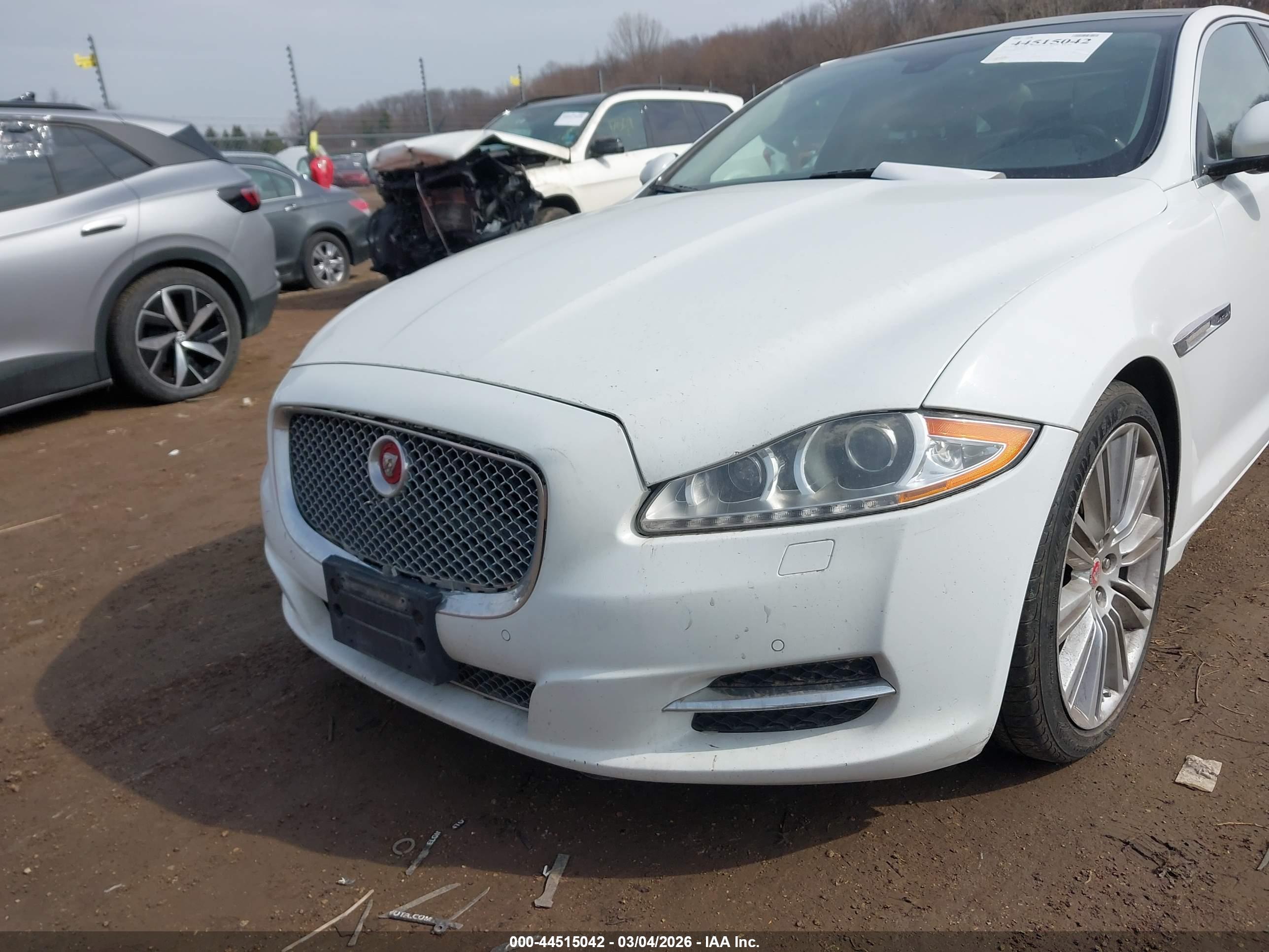JAGUAR XJ image 6