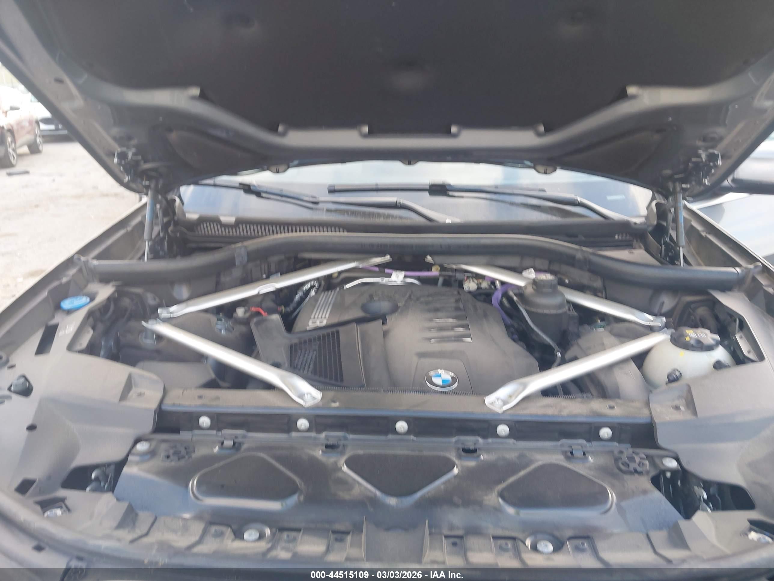 BMW X7 image 10