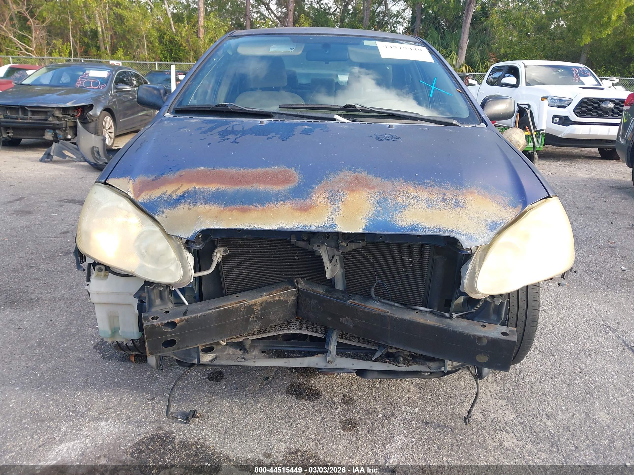TOYOTA COROLLA image 6