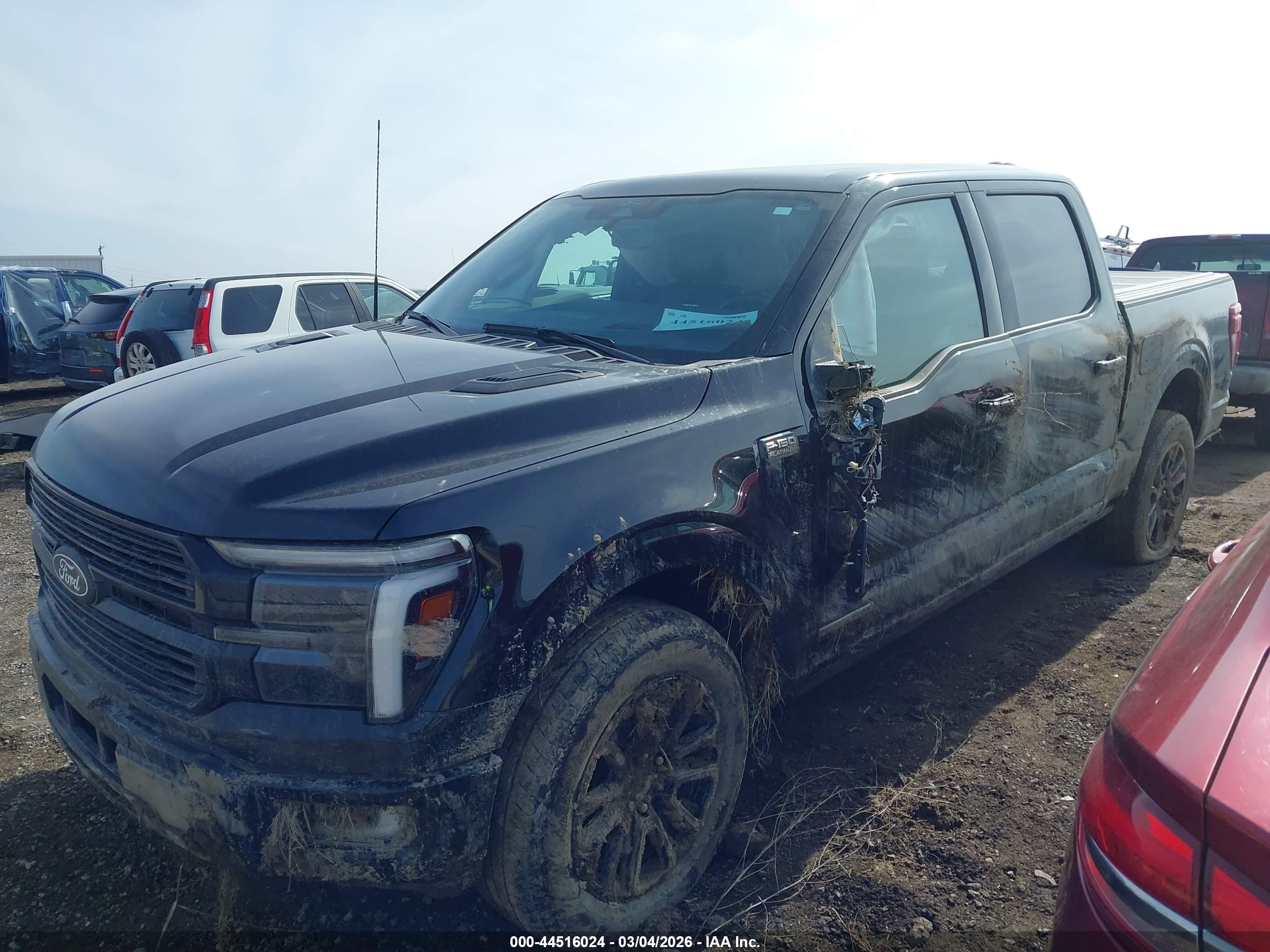 FORD F-150 image 2