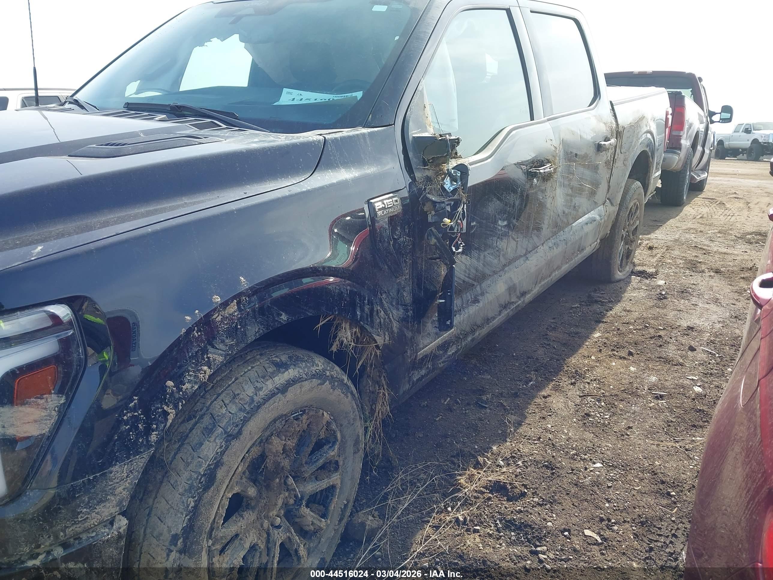 FORD F-150 image 6