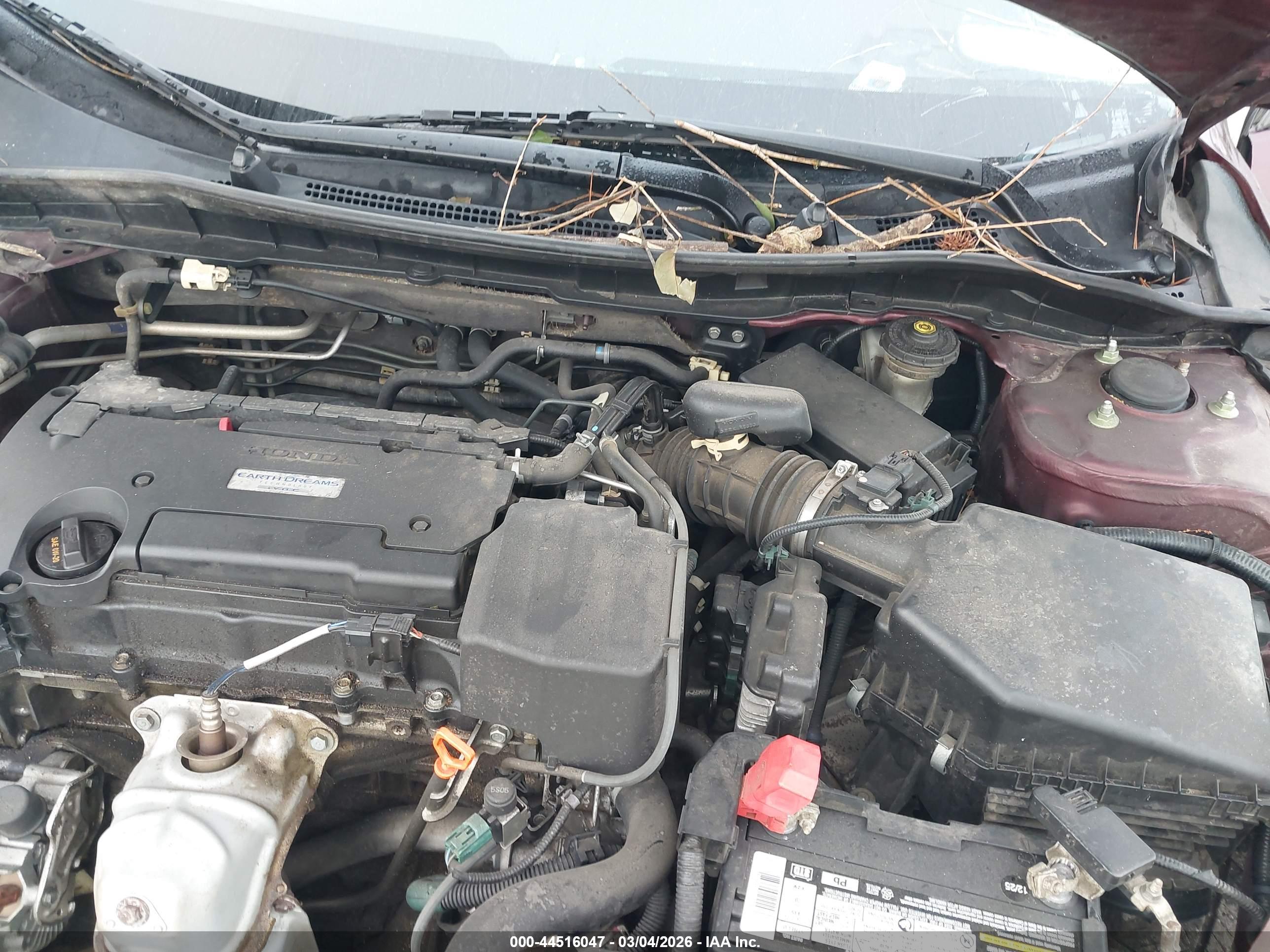 HONDA ACCORD image 10