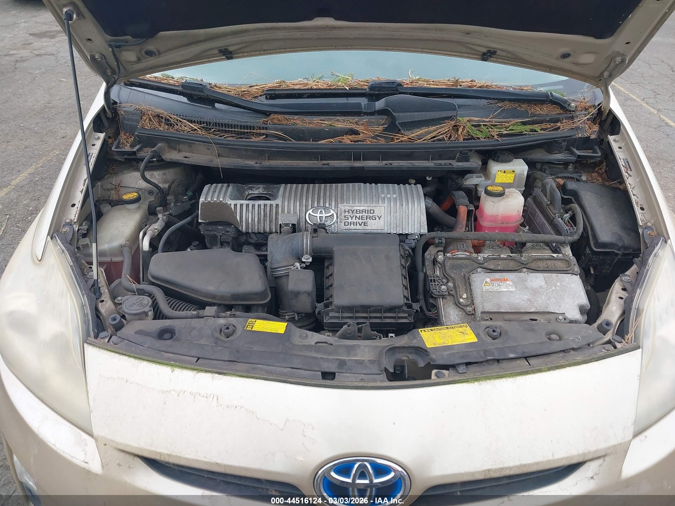 TOYOTA PRIUS image 10