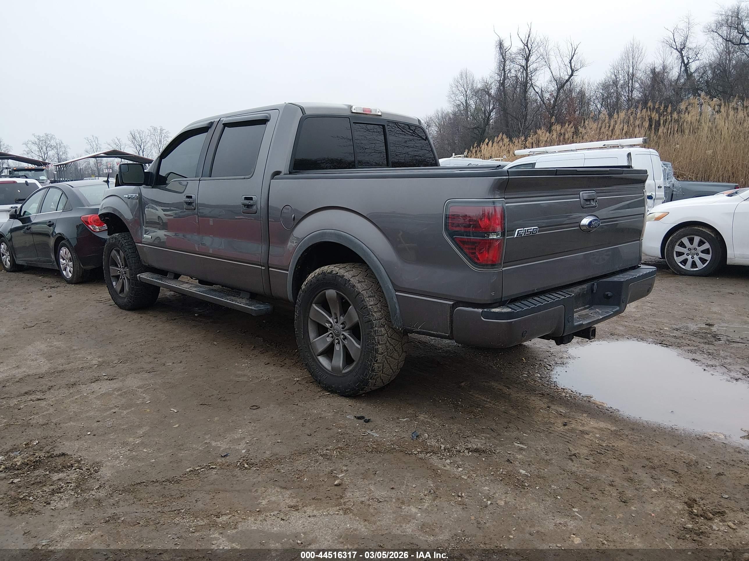FORD F-150 image 3
