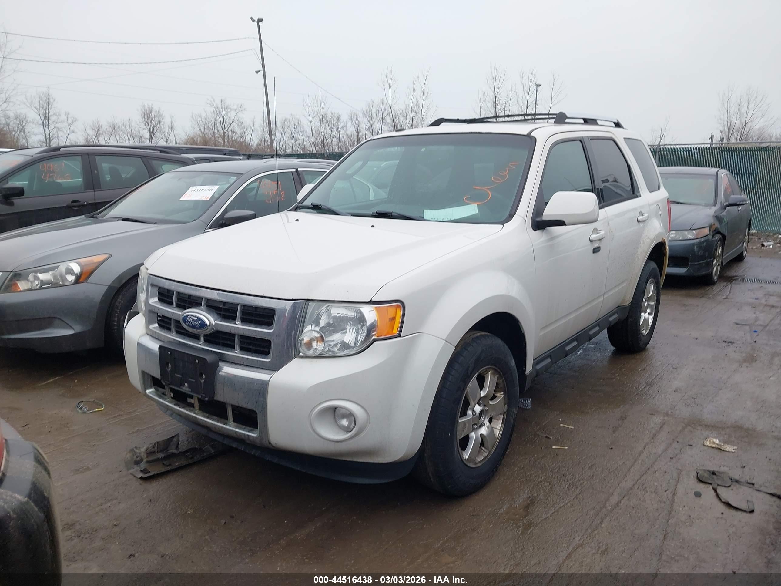 FORD ESCAPE image 2
