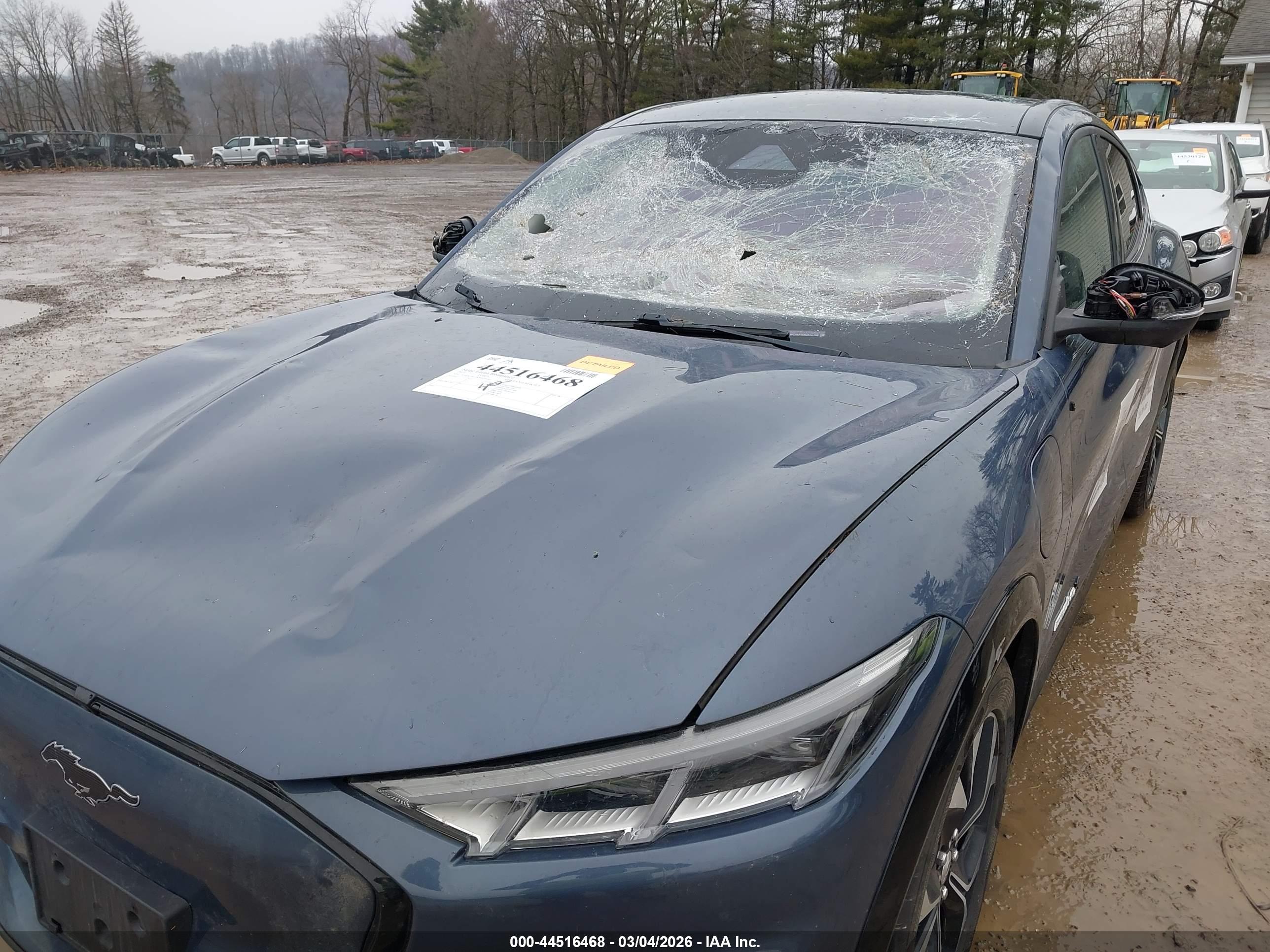 FORD MUSTANG image 6