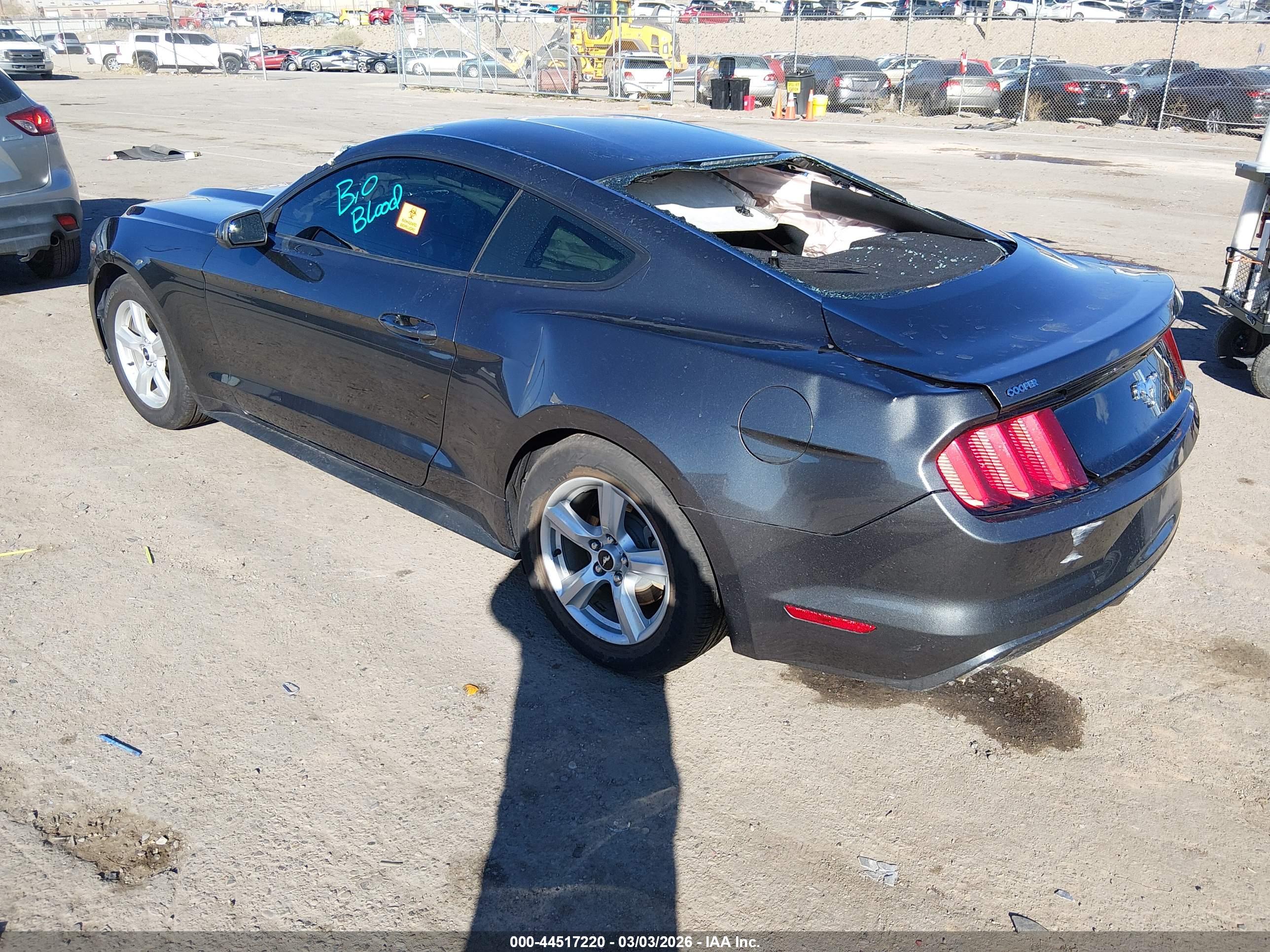 FORD MUSTANG image 3