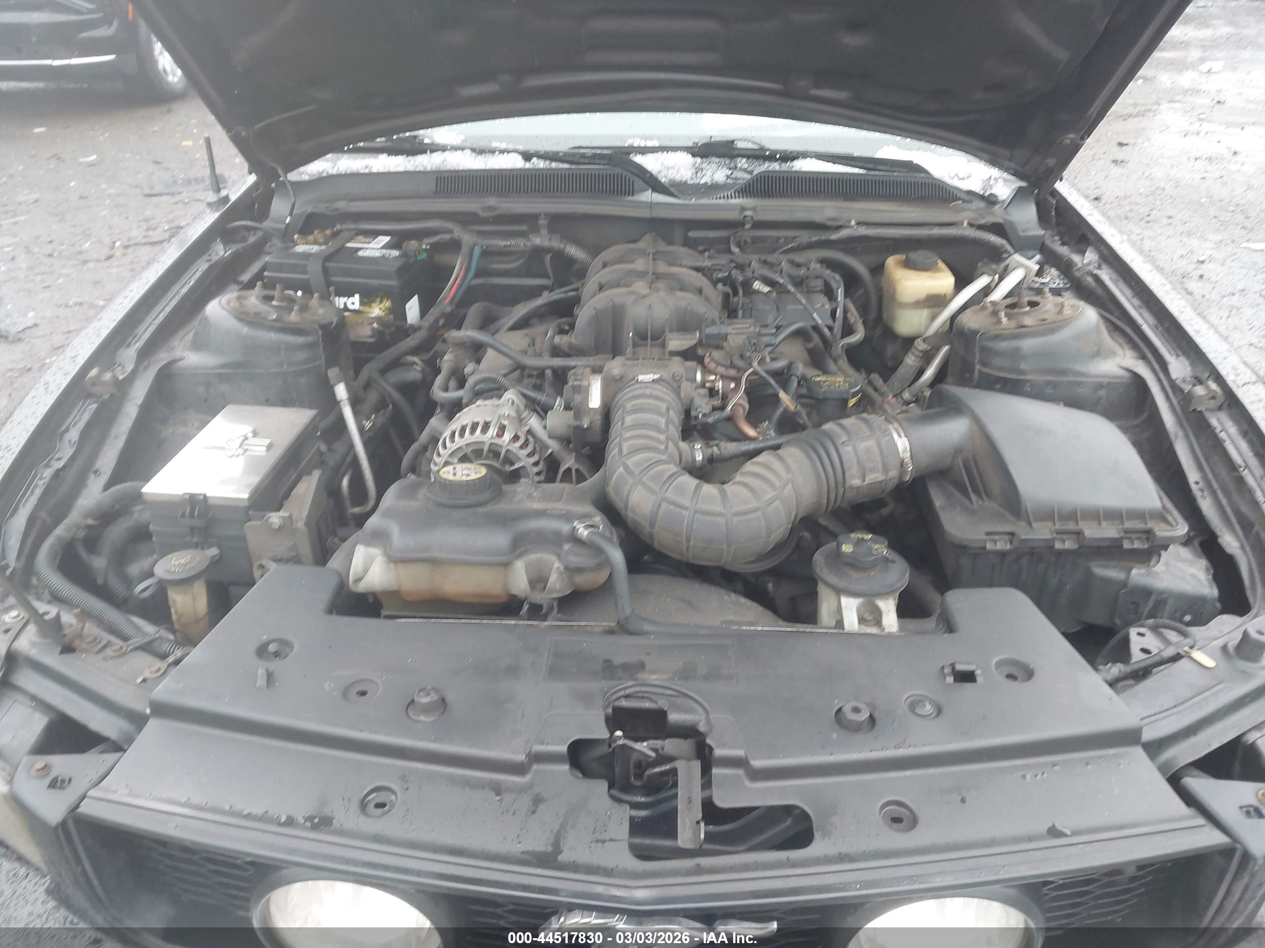 FORD MUSTANG image 10