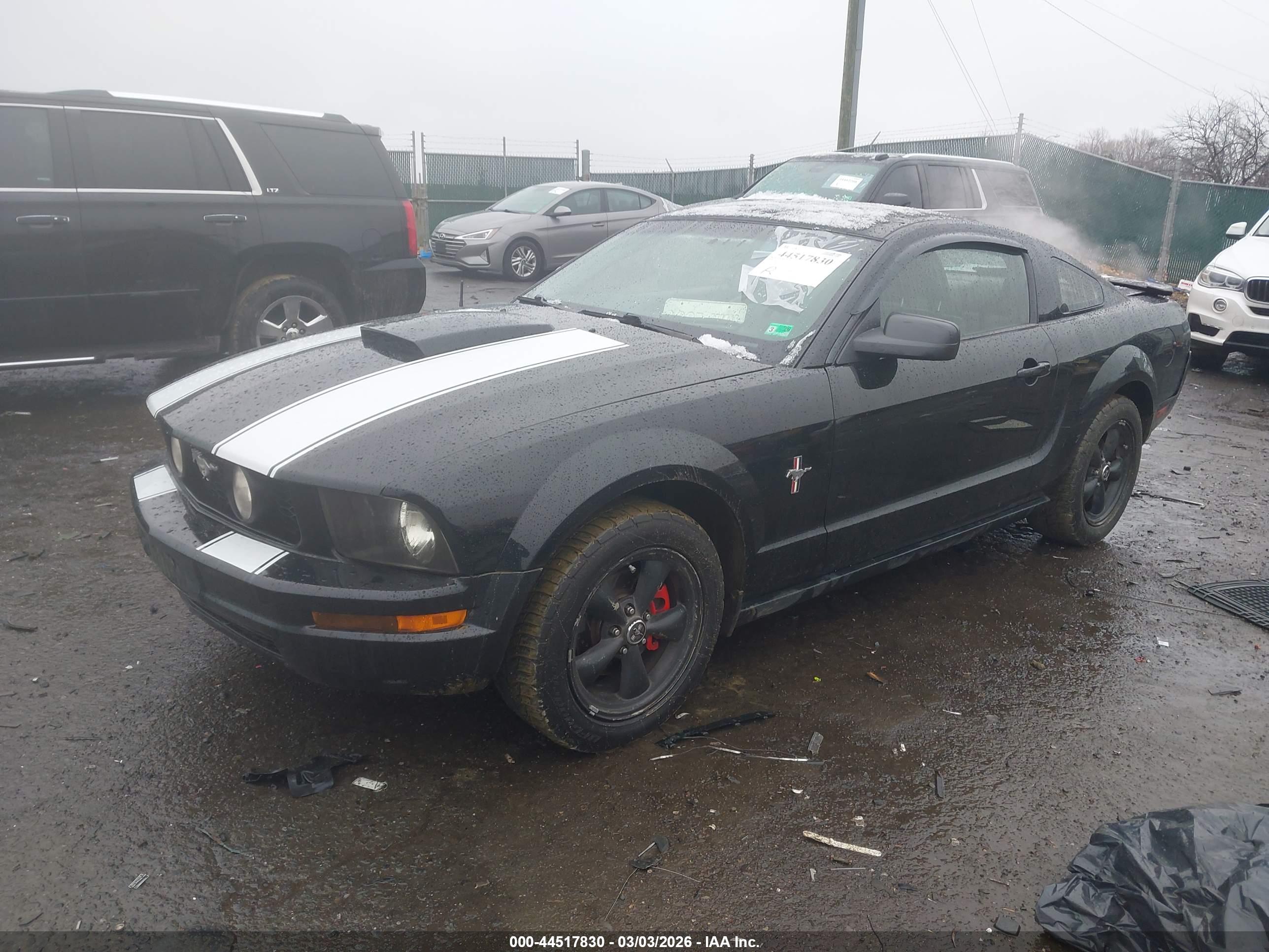 FORD MUSTANG image 2
