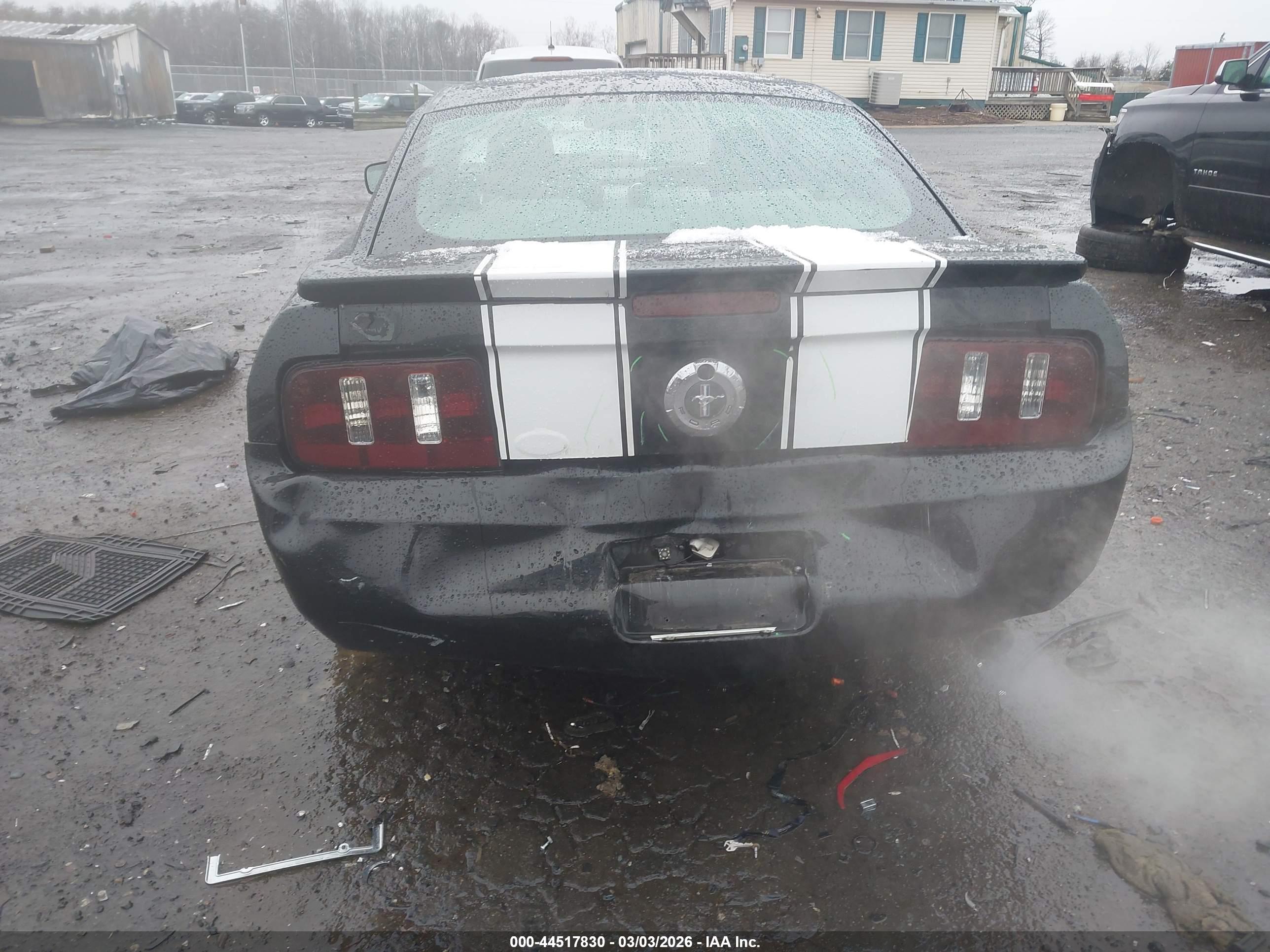 FORD MUSTANG image 6