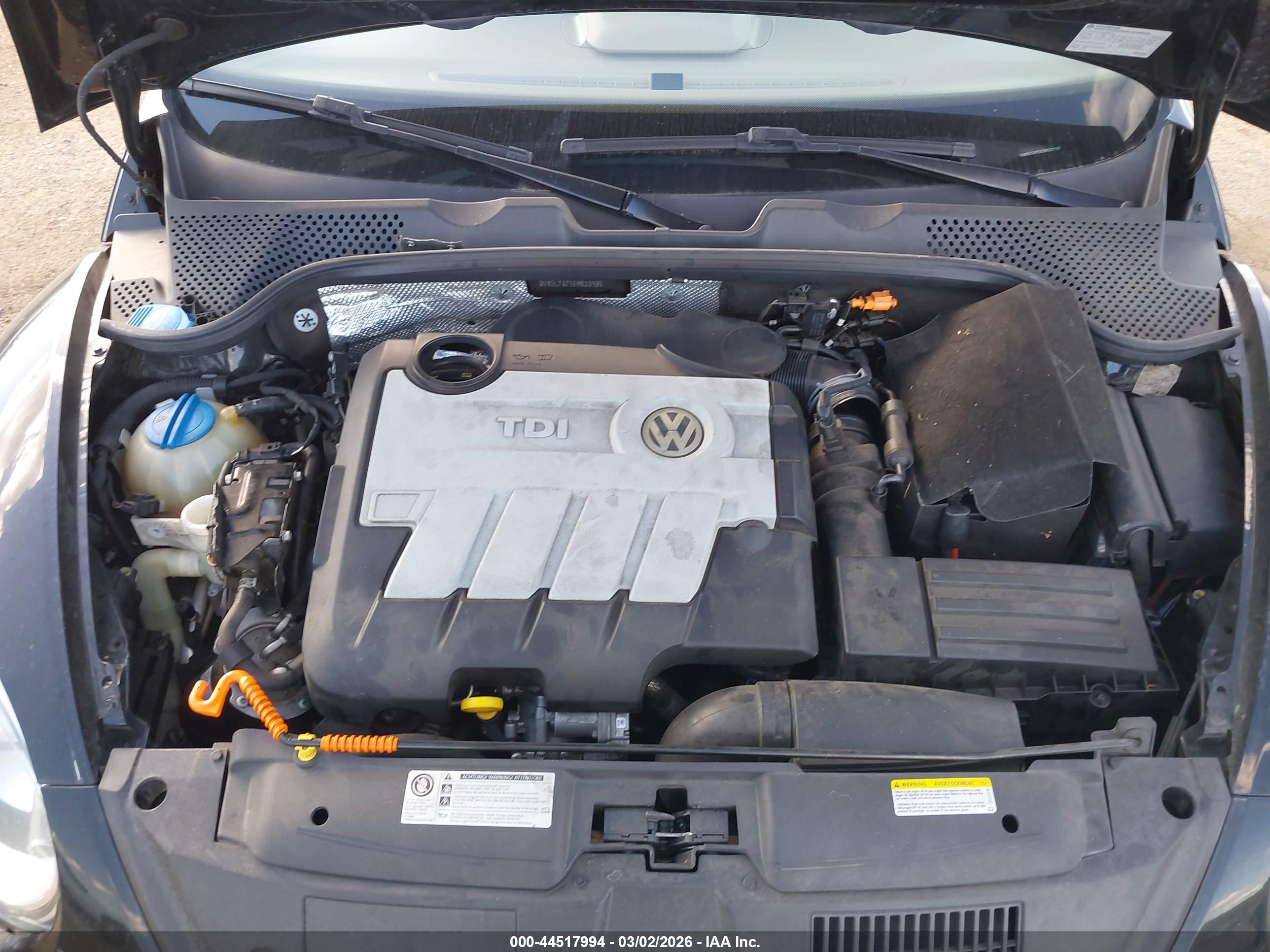 VOLKSWAGEN BEETLE image 10