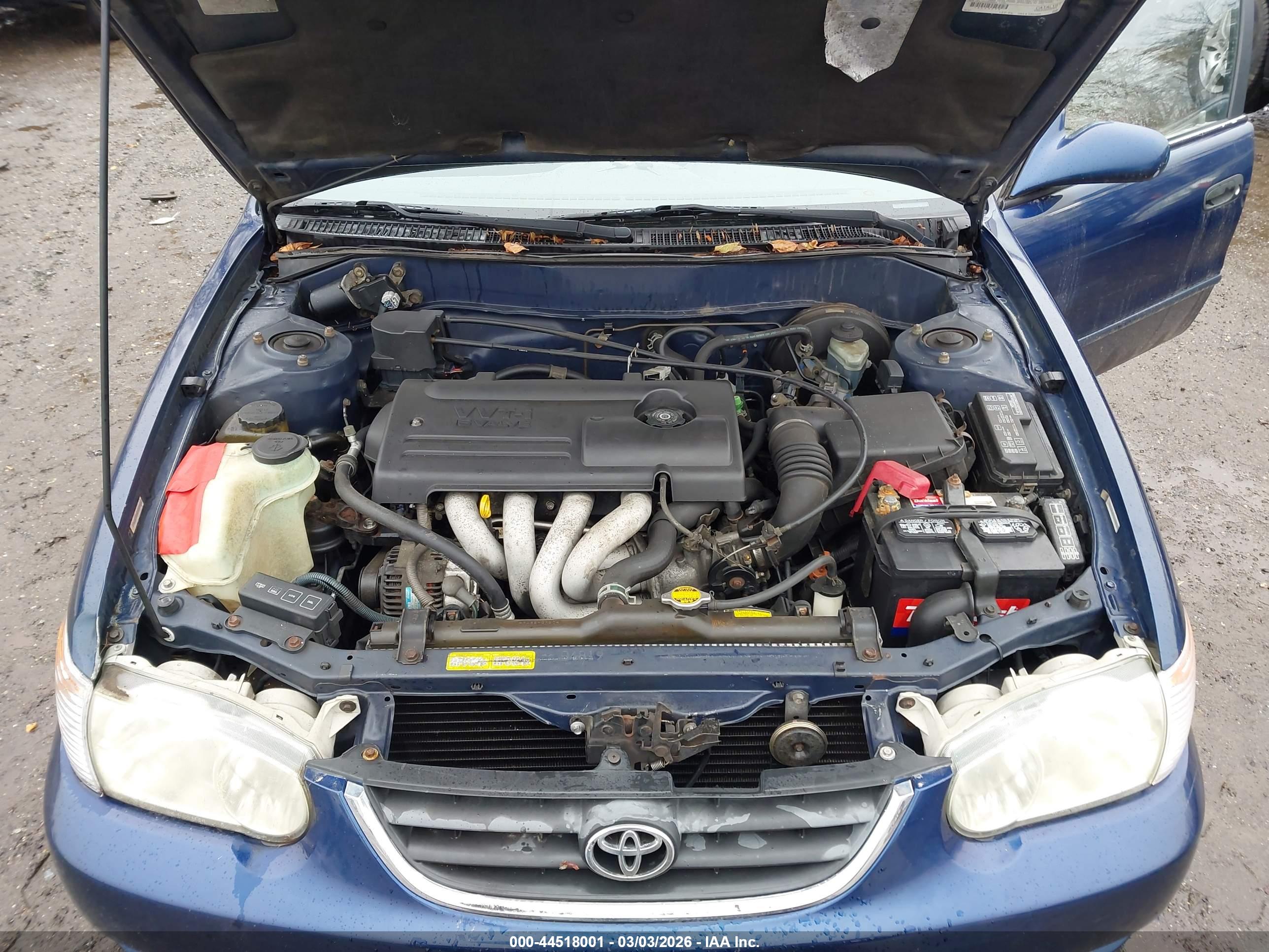 TOYOTA COROLLA image 10