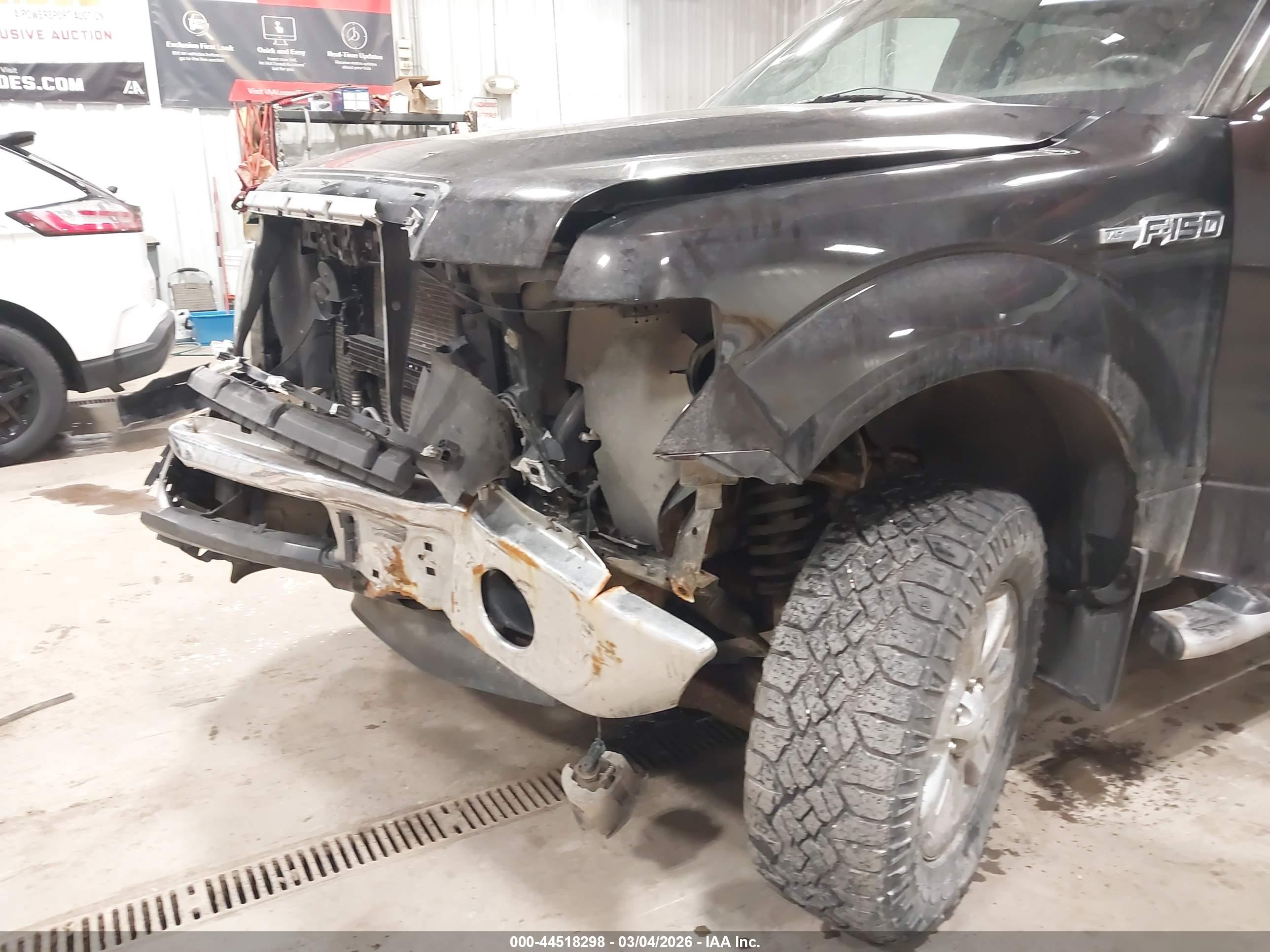FORD F-150 image 6