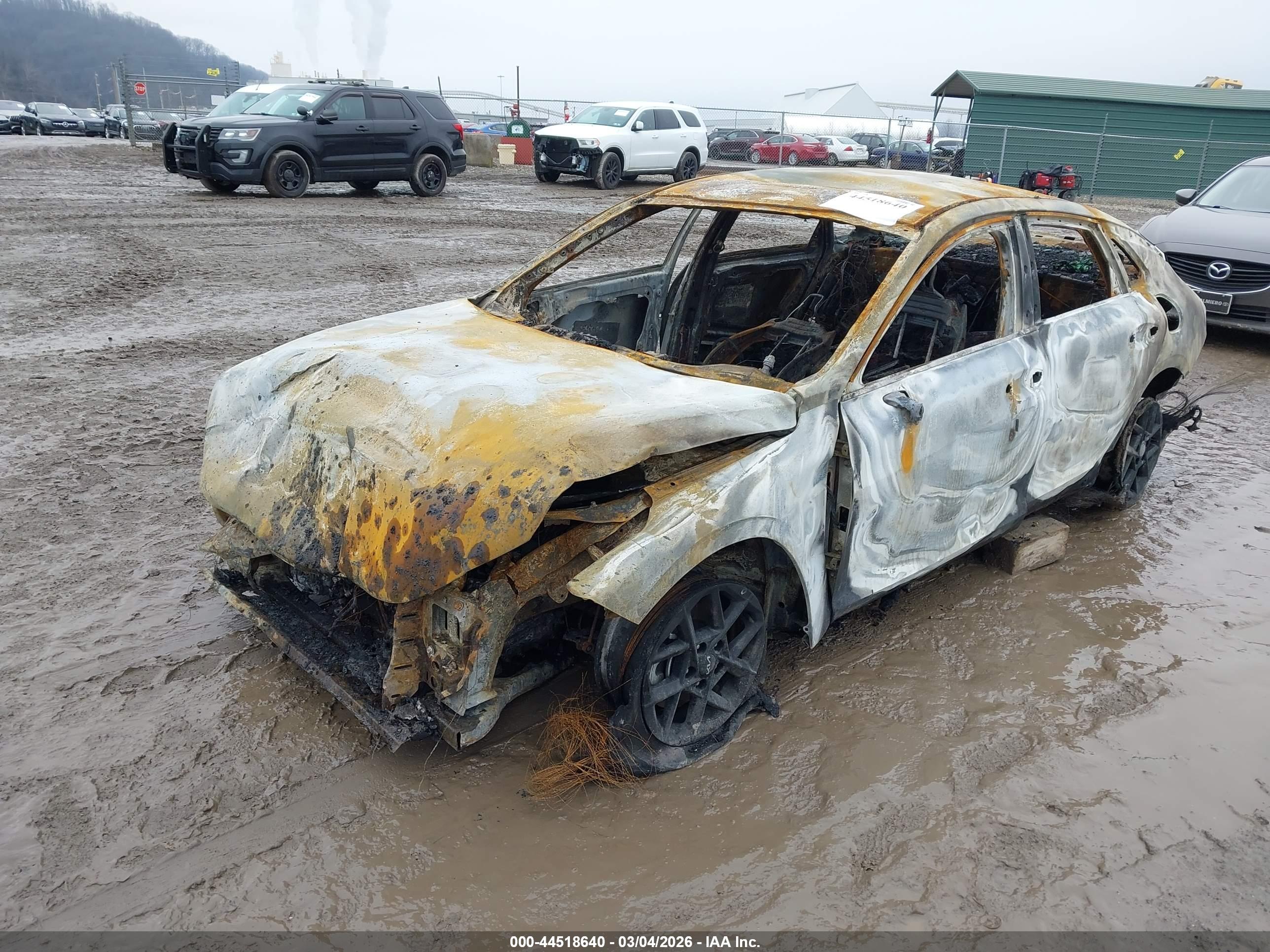 KIA K5 image 2