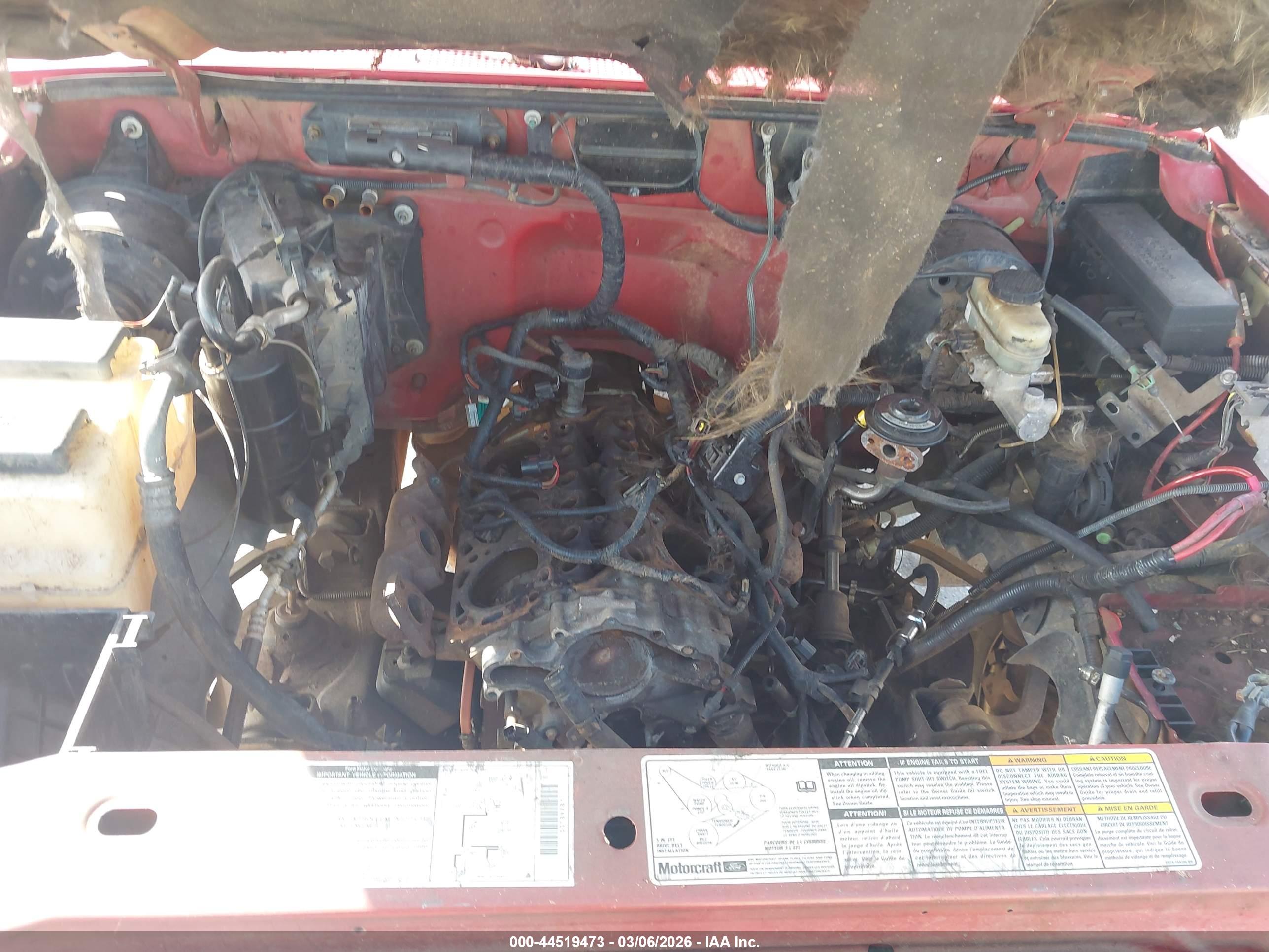 FORD RANGER image 10