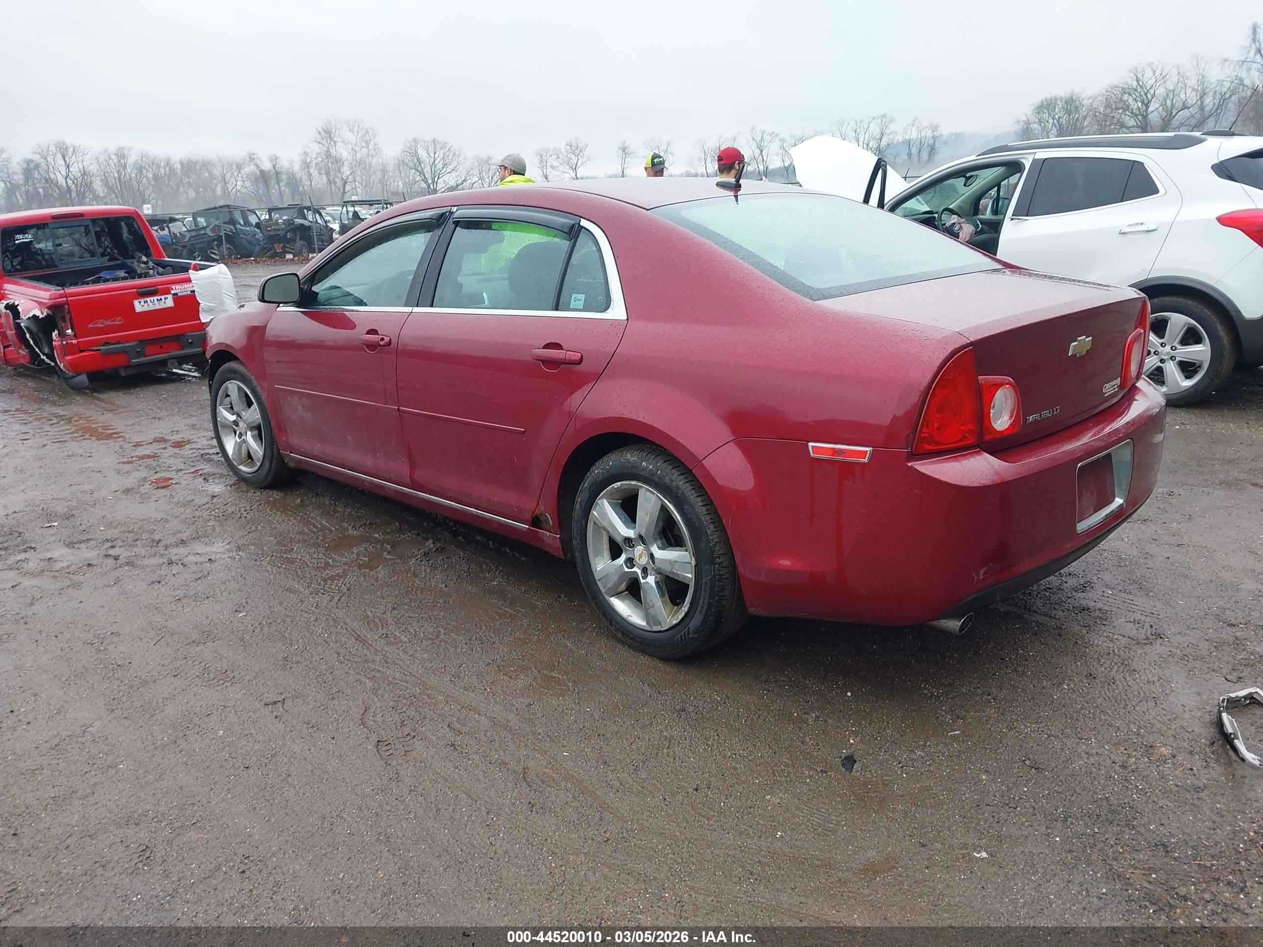 CHEVROLET MALIBU image 3