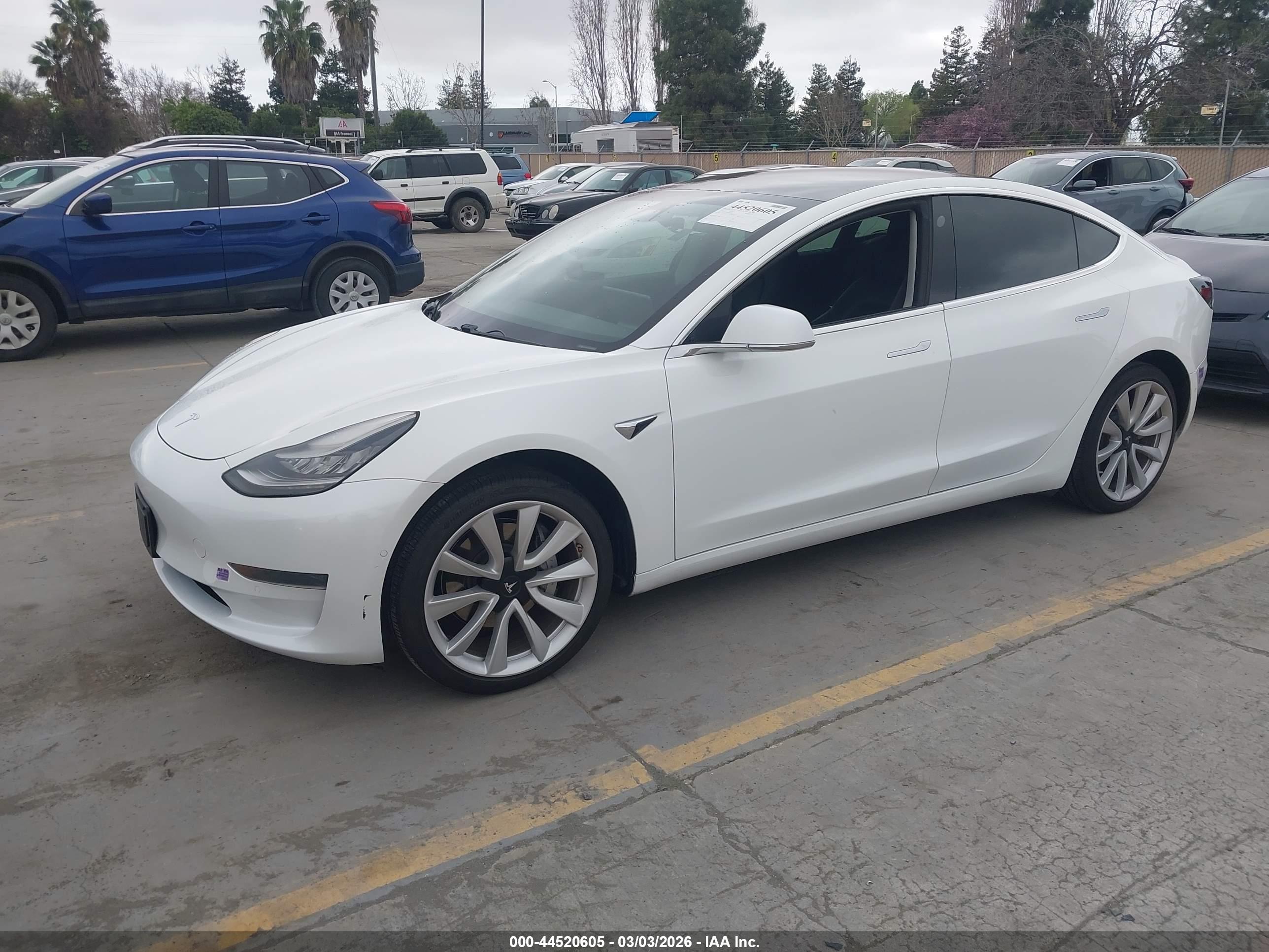 TESLA MODEL image 2