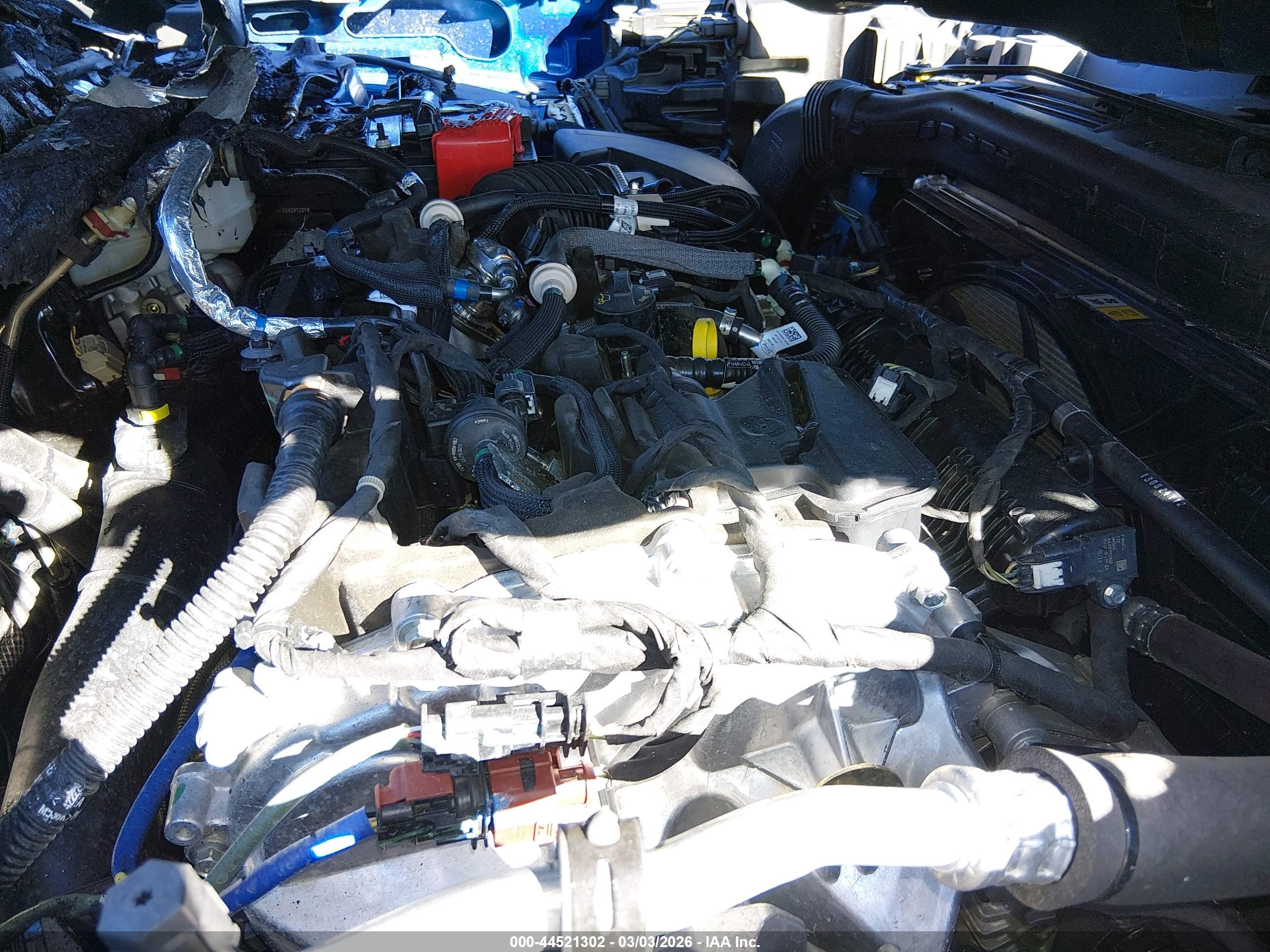 FORD BRONCO image 10