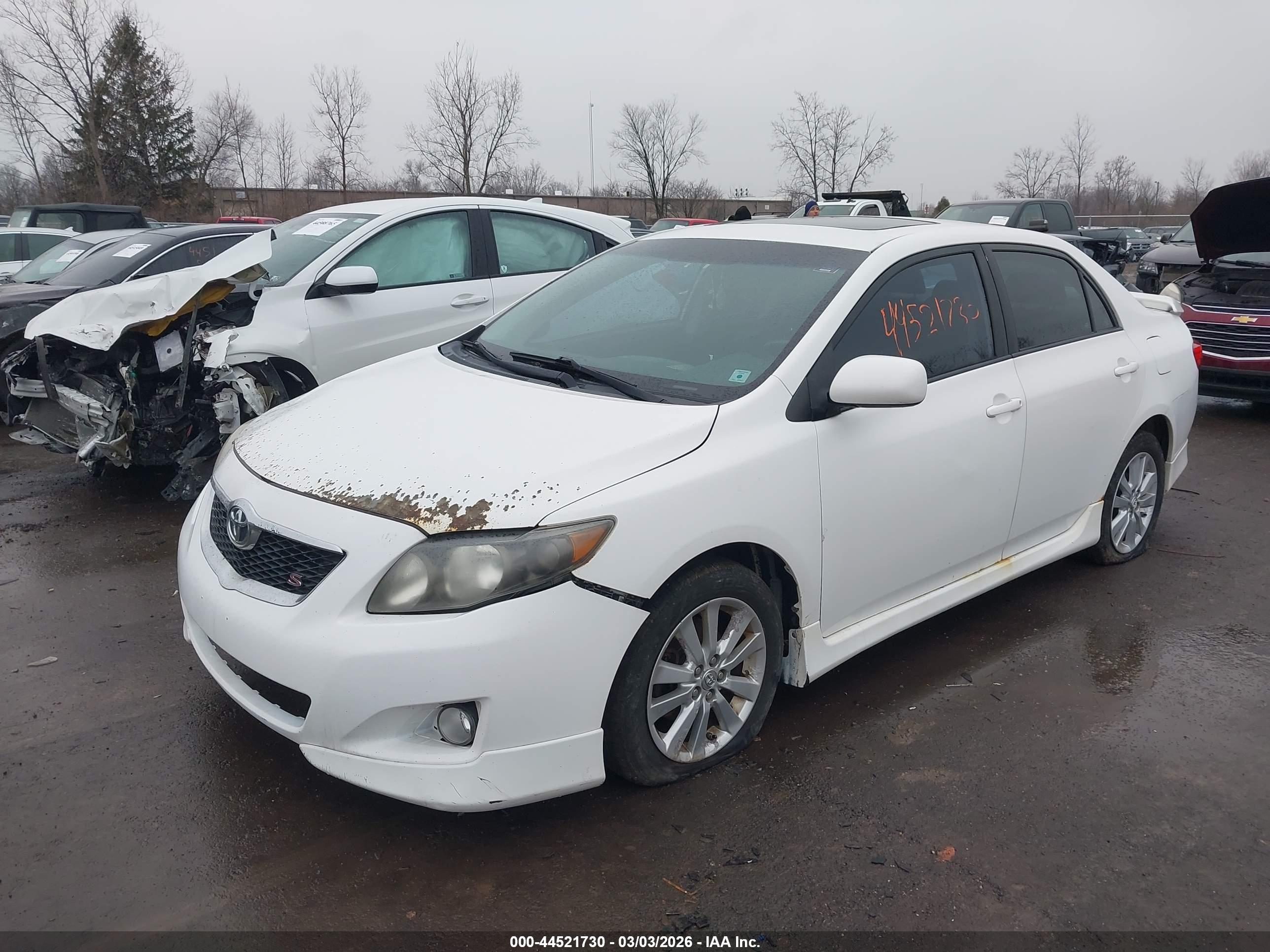 TOYOTA COROLLA image 2