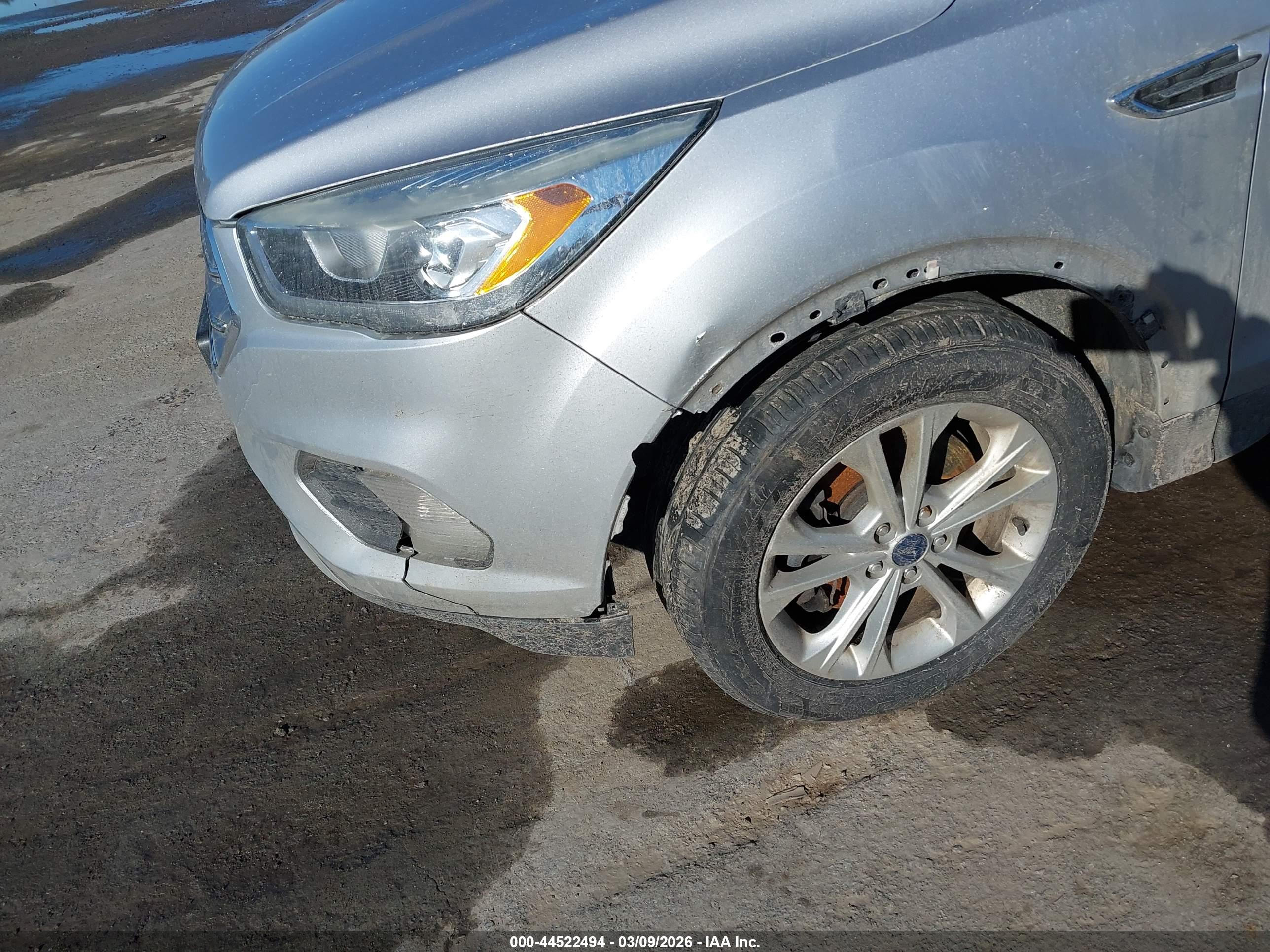 FORD ESCAPE image 6