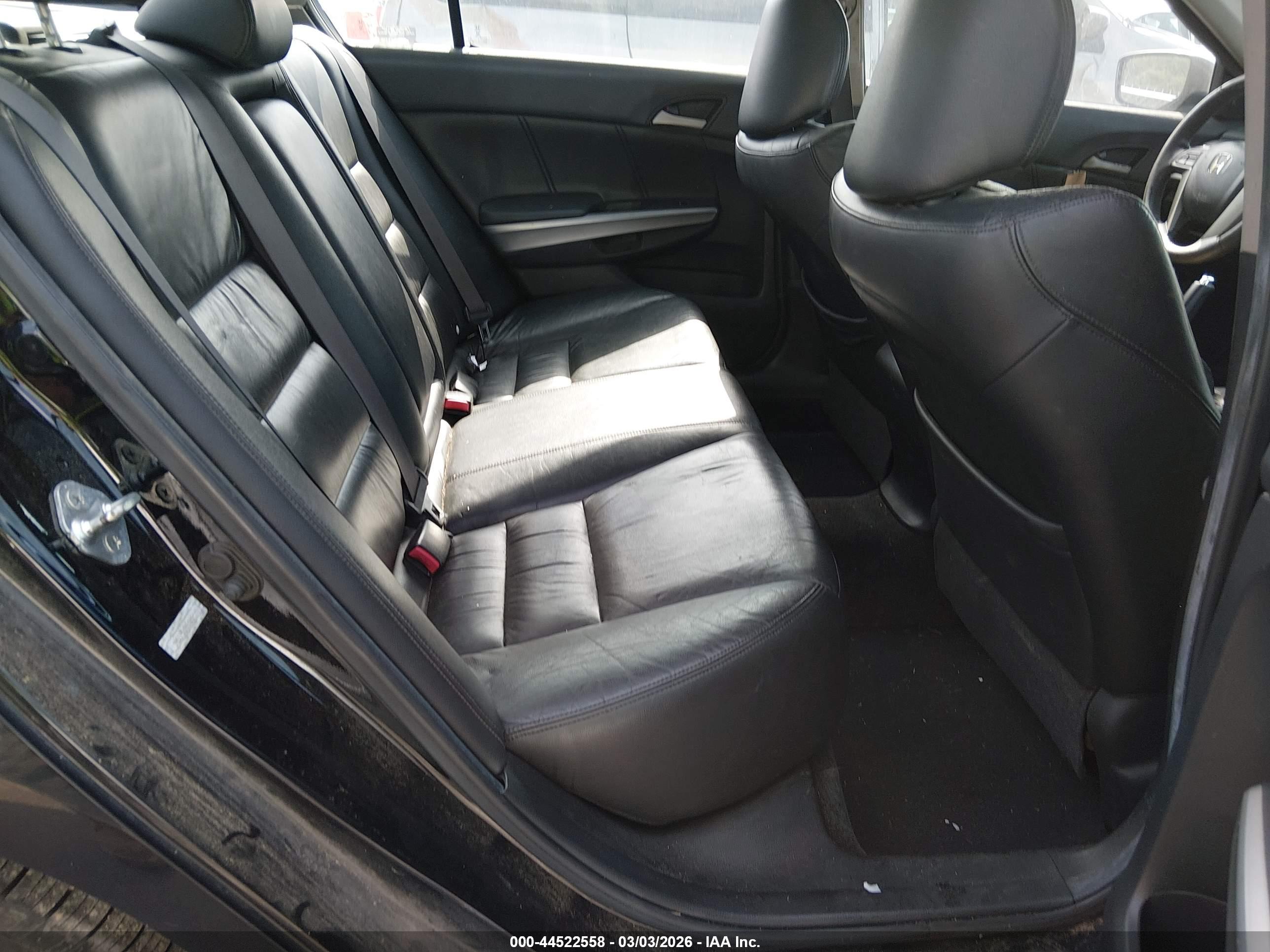 HONDA ACCORD image 8