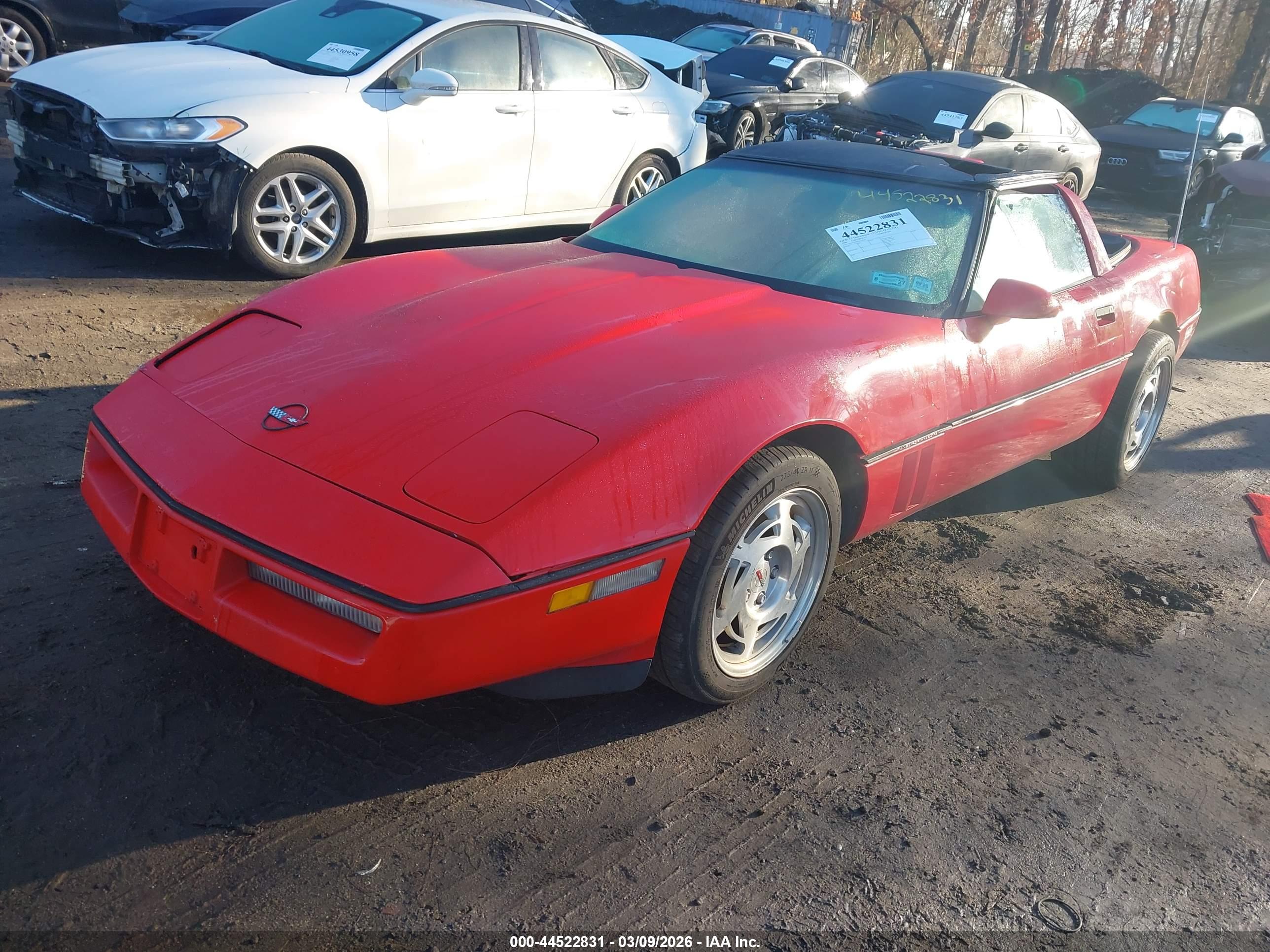 CHEVROLET CORVETTE image 2