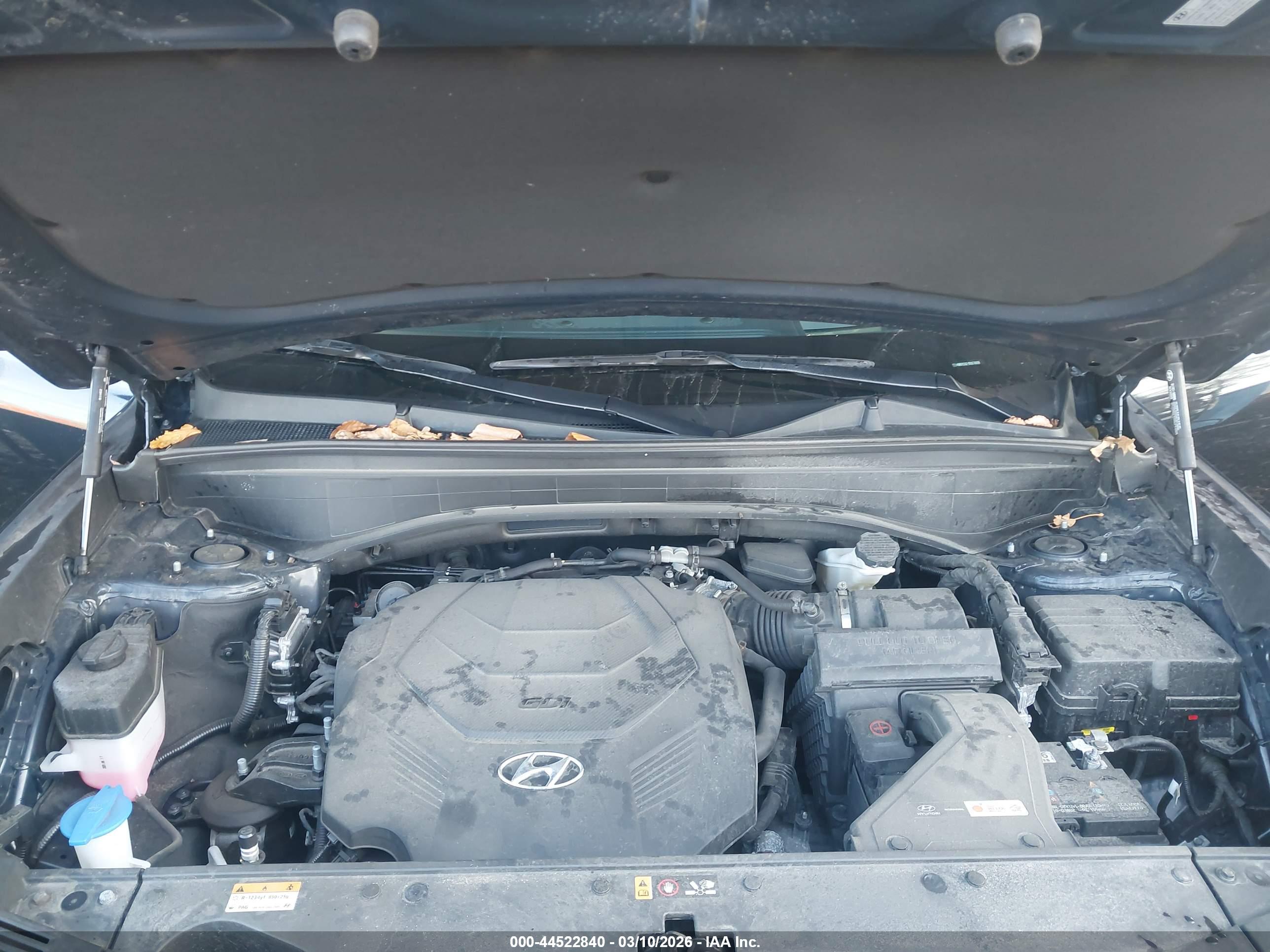 HYUNDAI PALISADE image 10