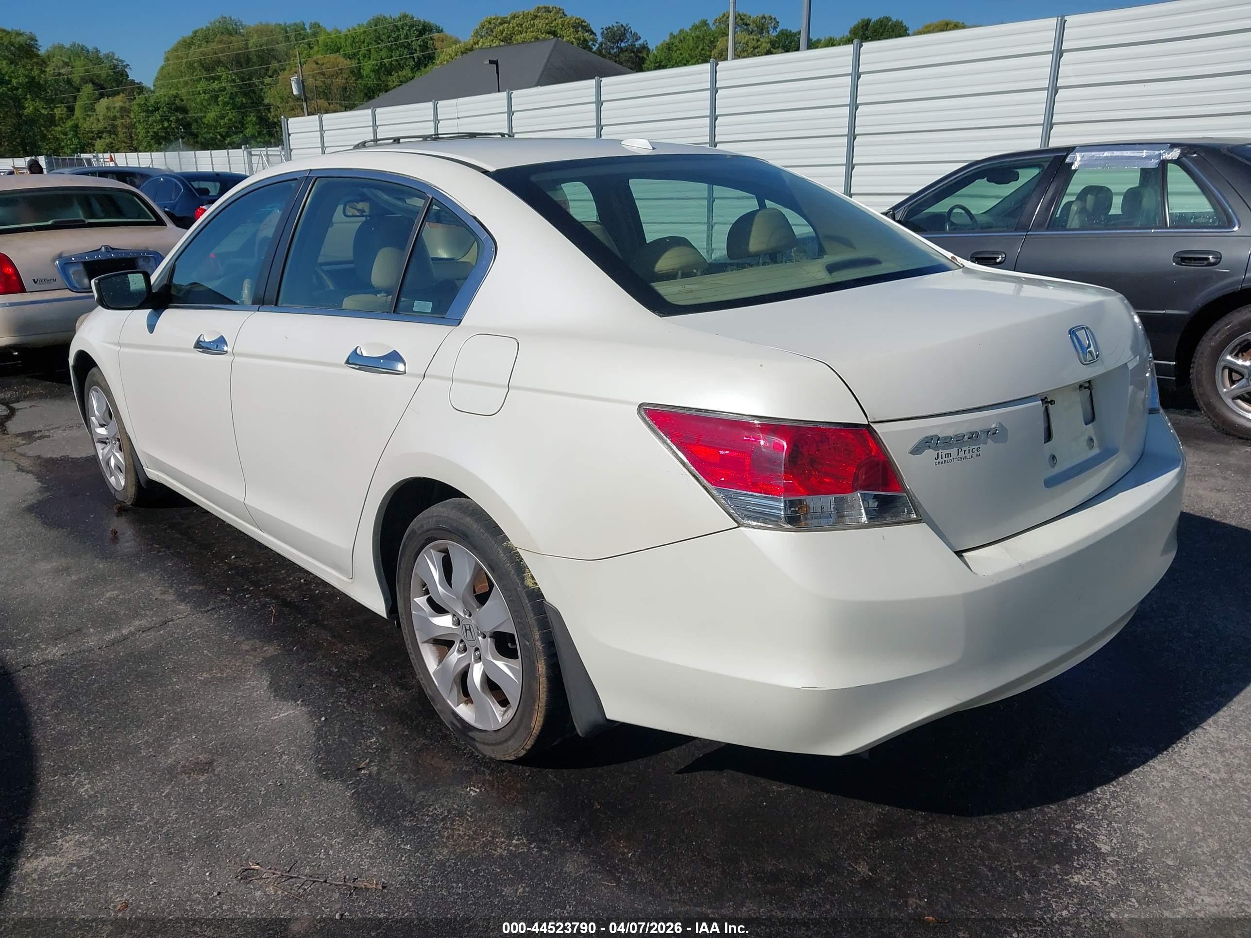 HONDA ACCORD image 3