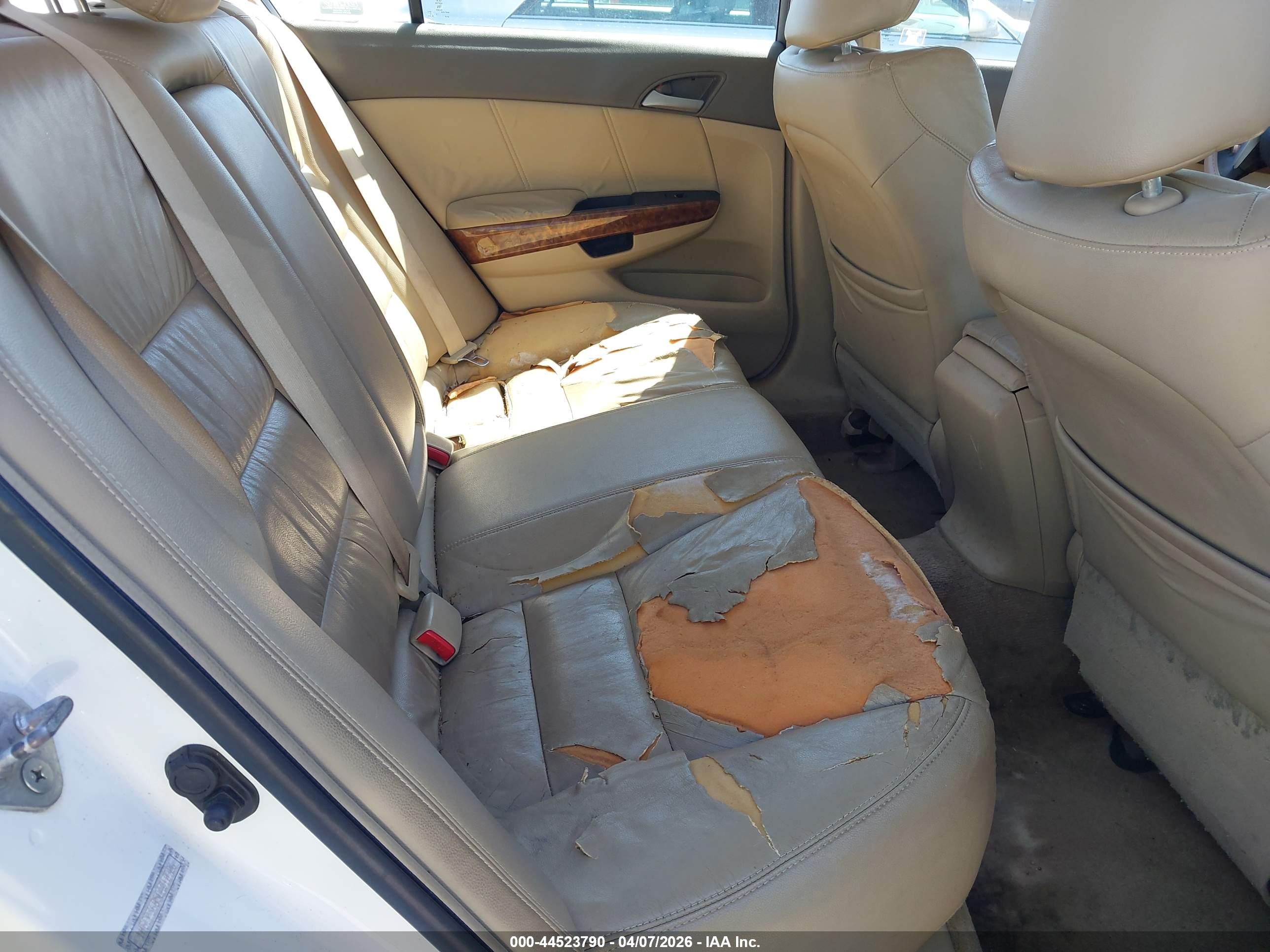HONDA ACCORD image 8